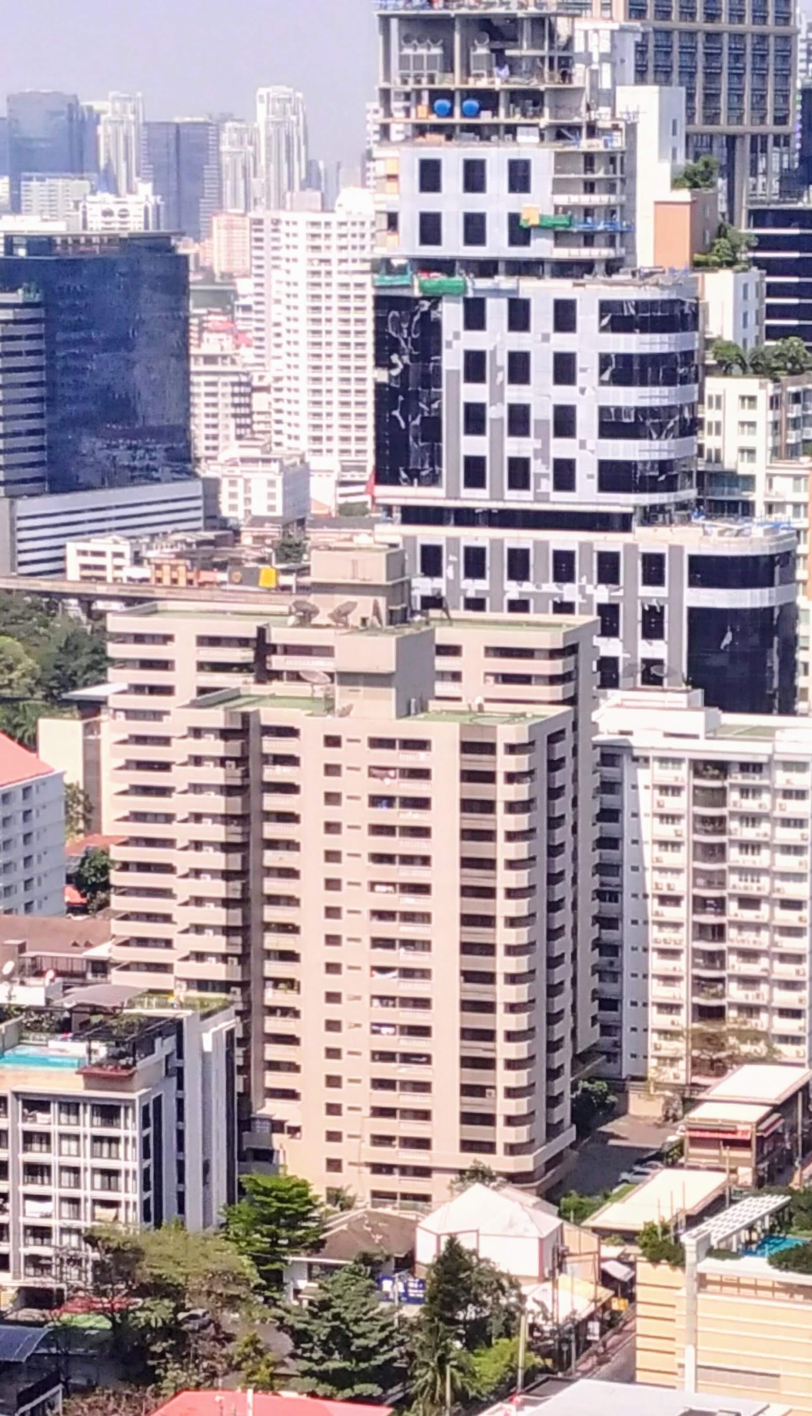 Asa Garden