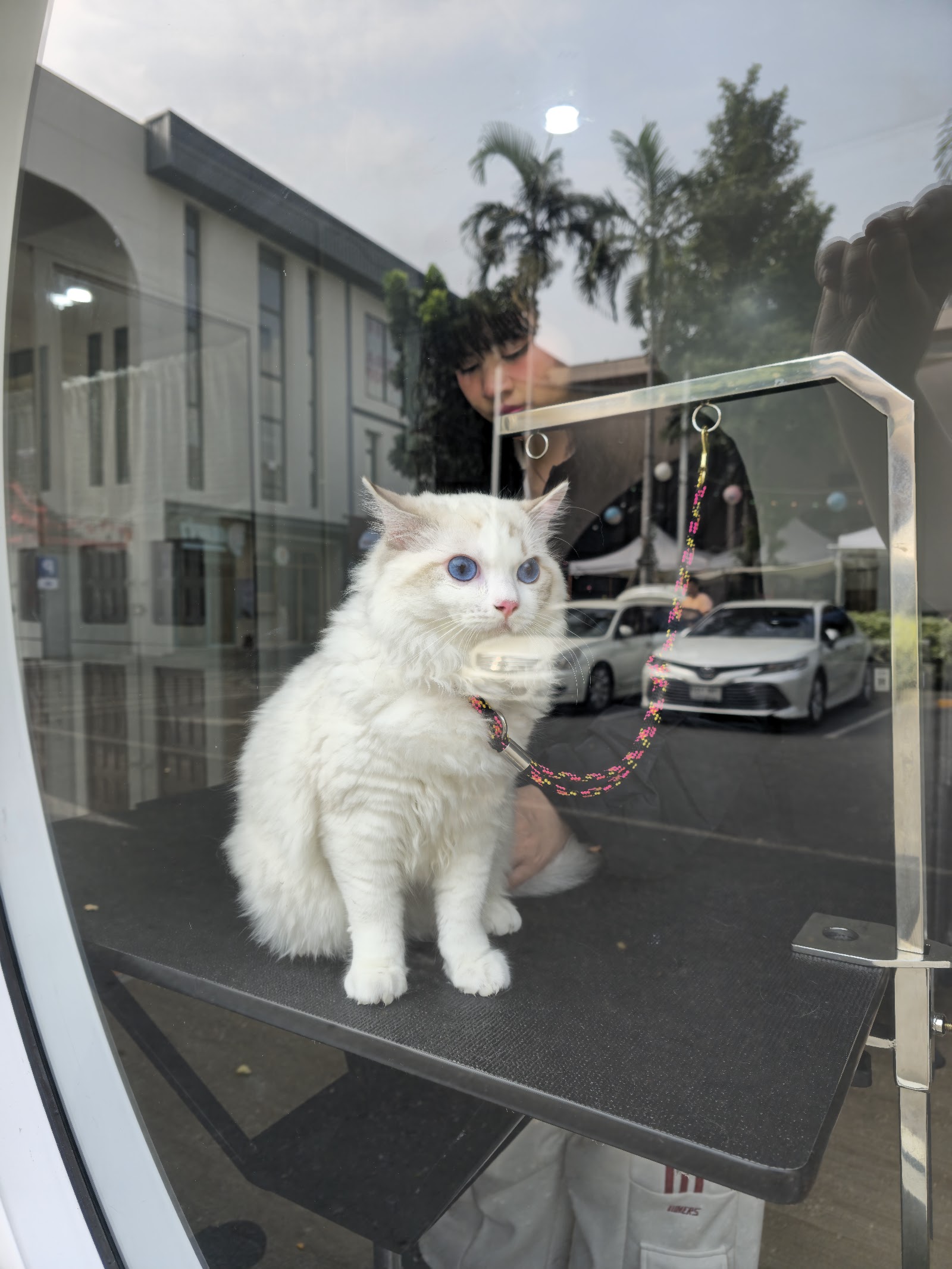 Beansfriend Pet Wellness Center