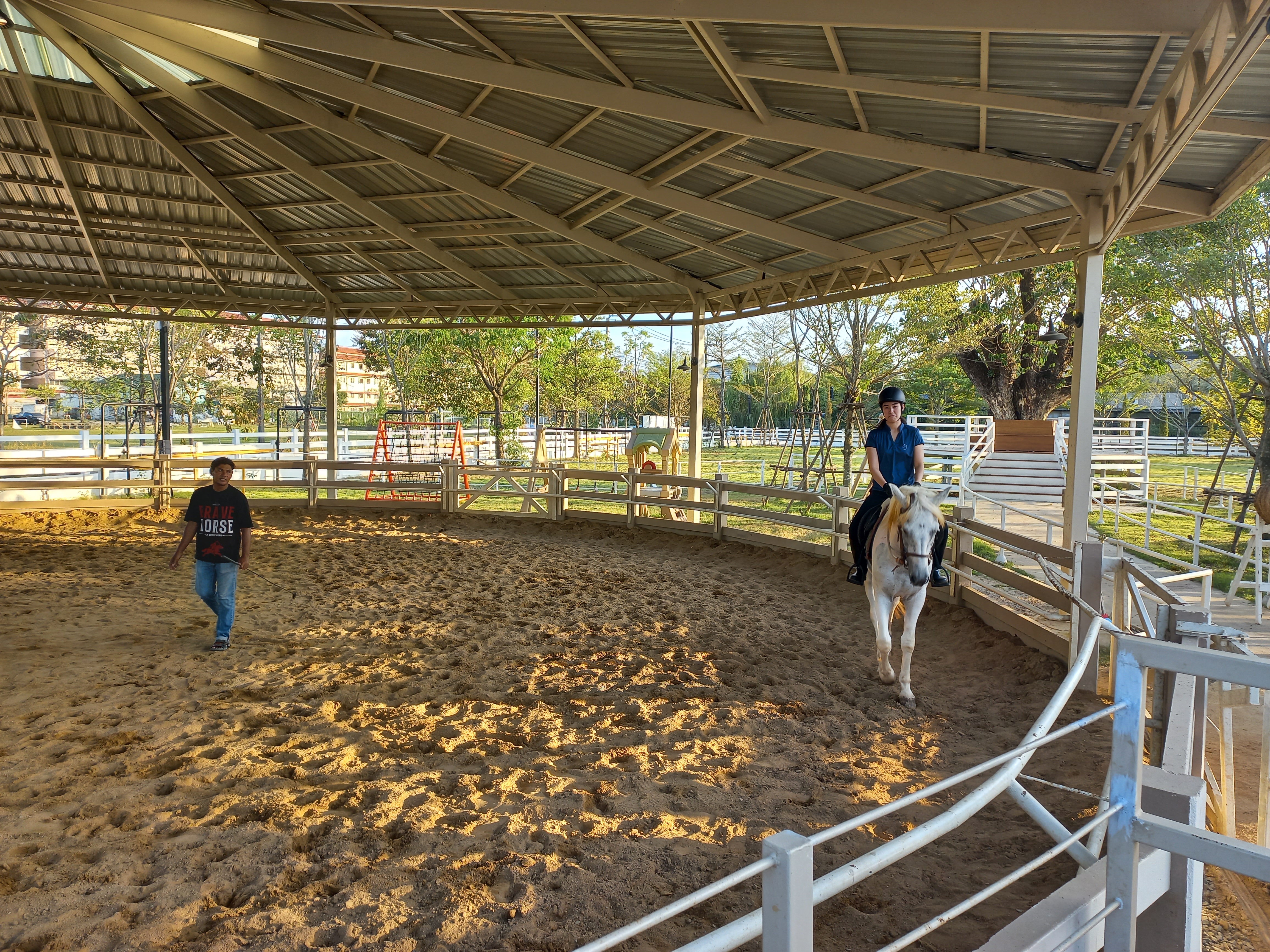 BHT Brave Horse Thailand