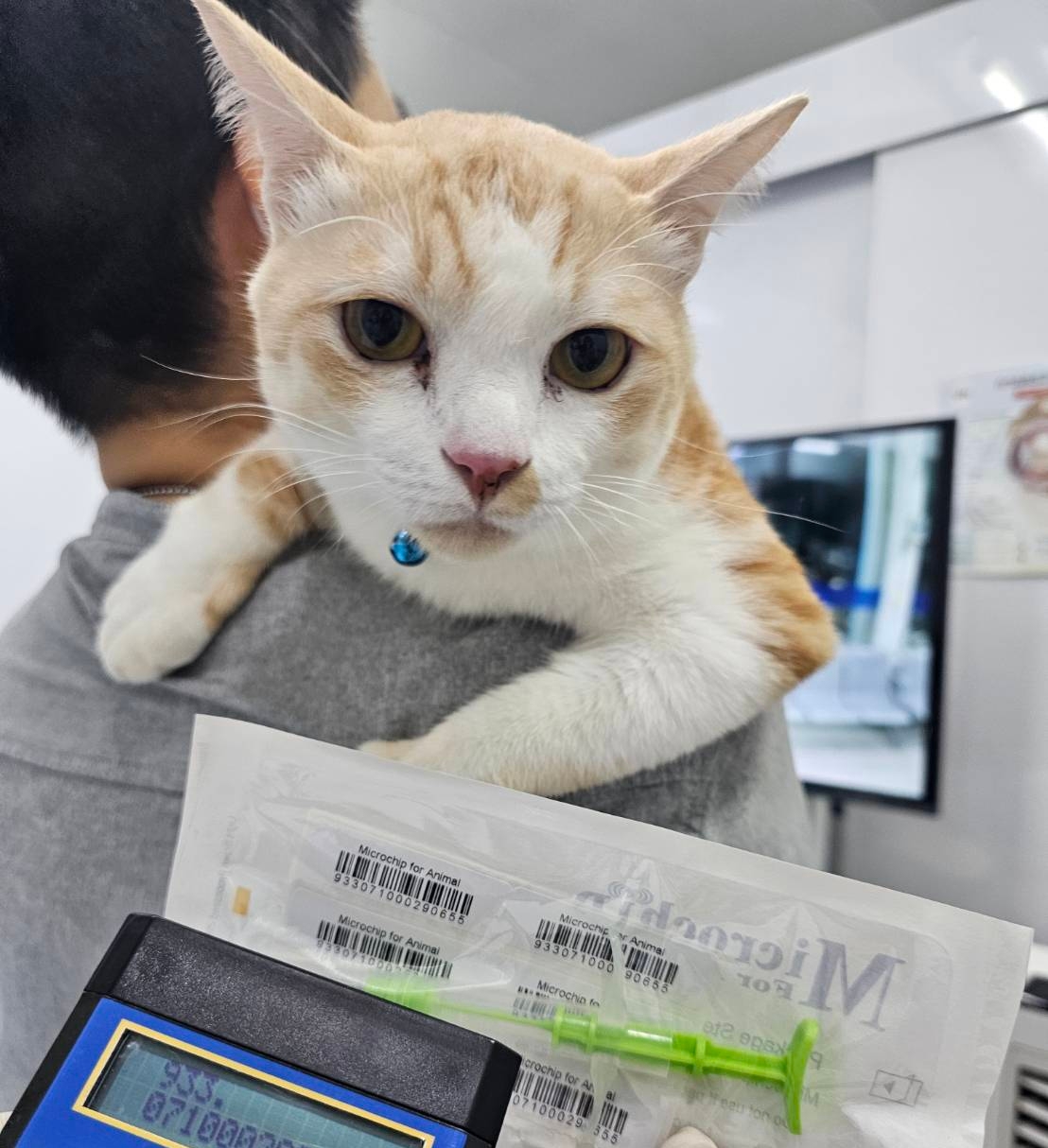 BMKM - Pet Skin Center (Official Location)