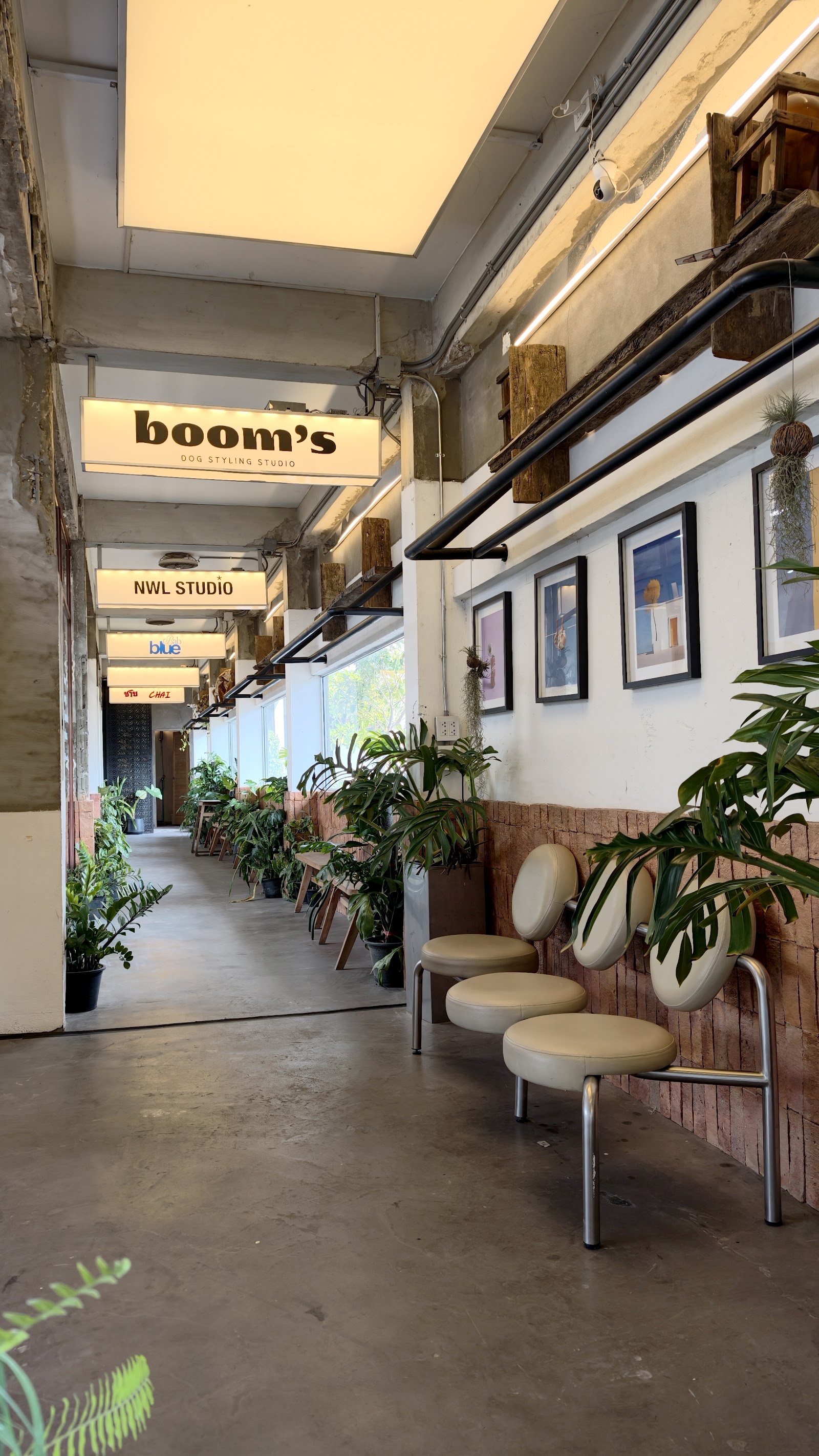 Booms Dog Styling Studio