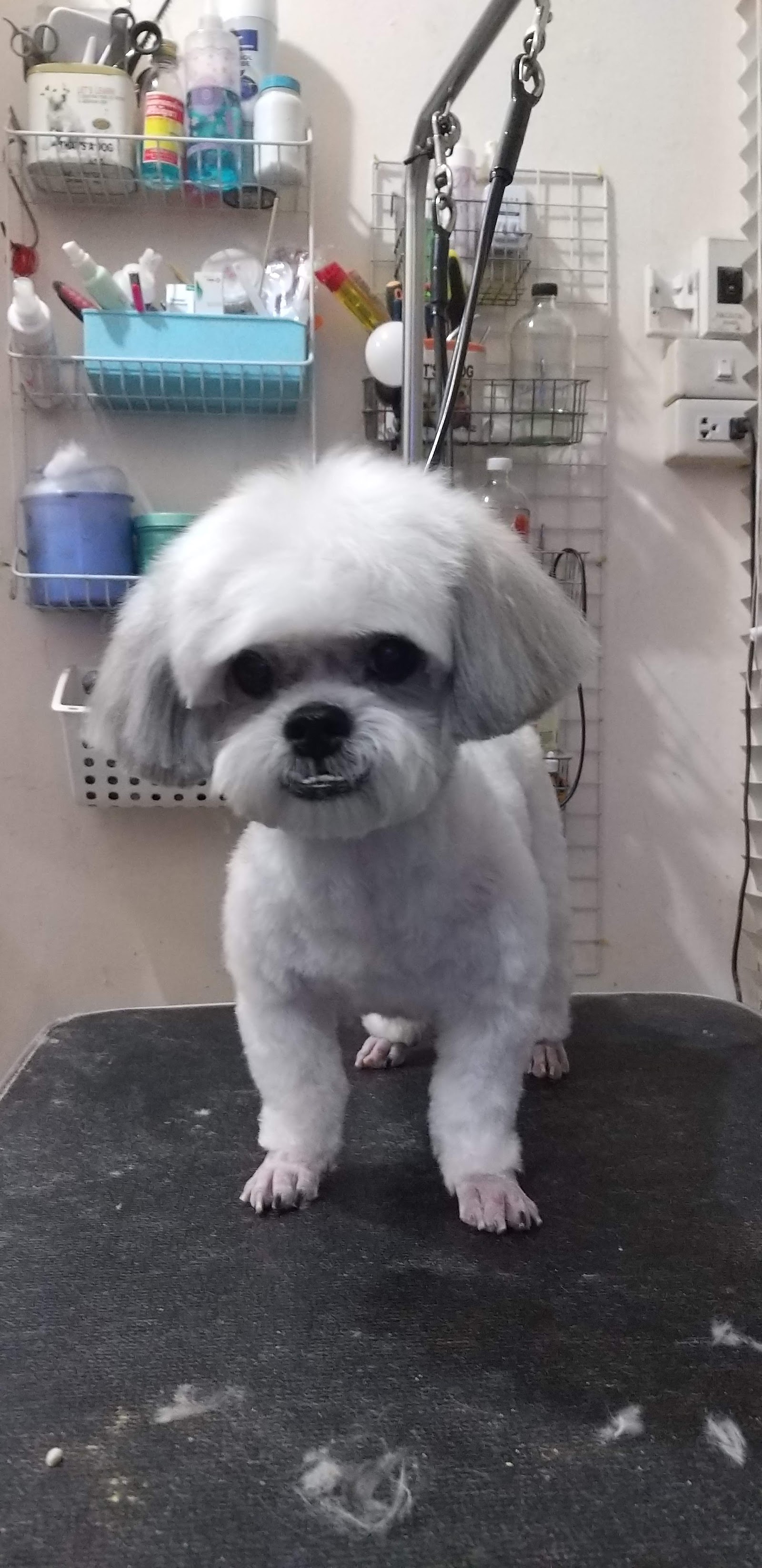 By ( 24)