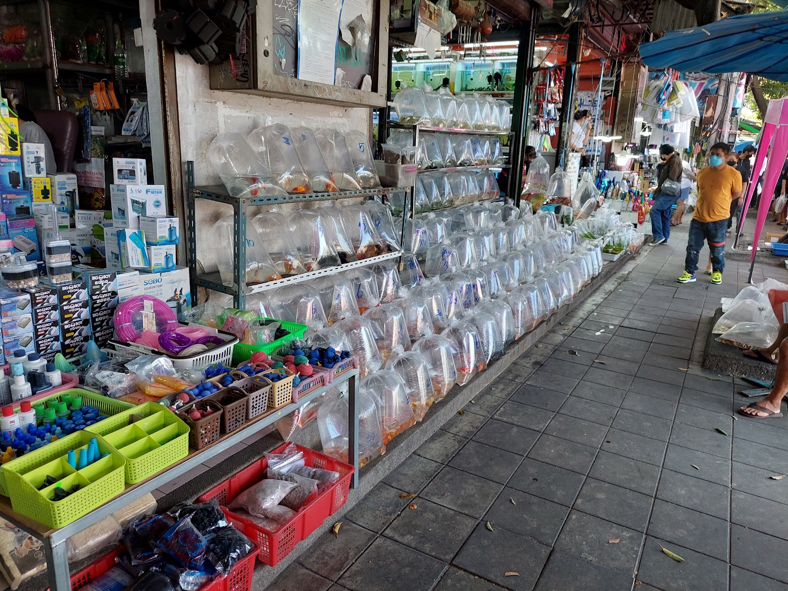 Chatuchak Fish Market