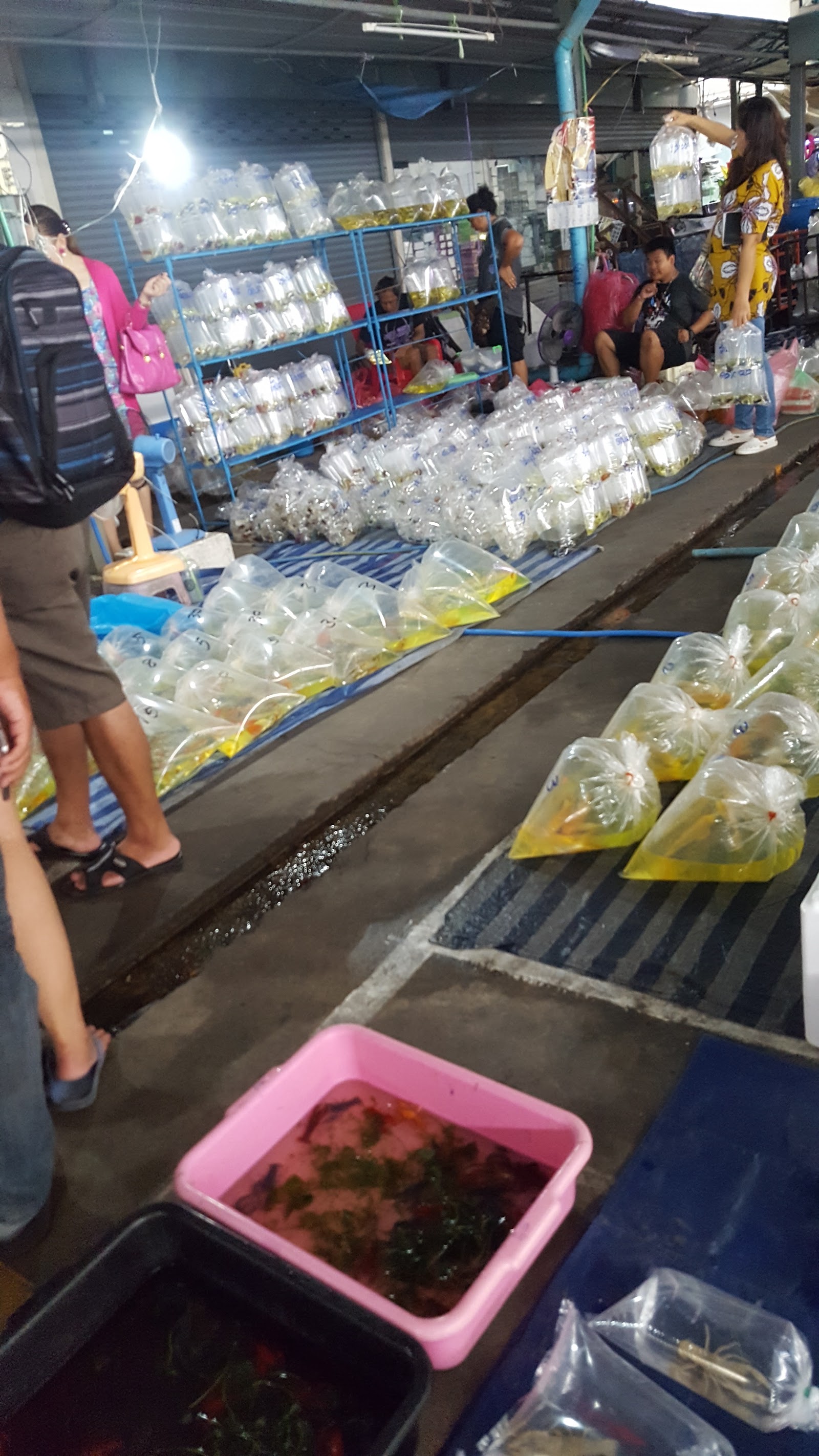 Chatuchak Fish Market
