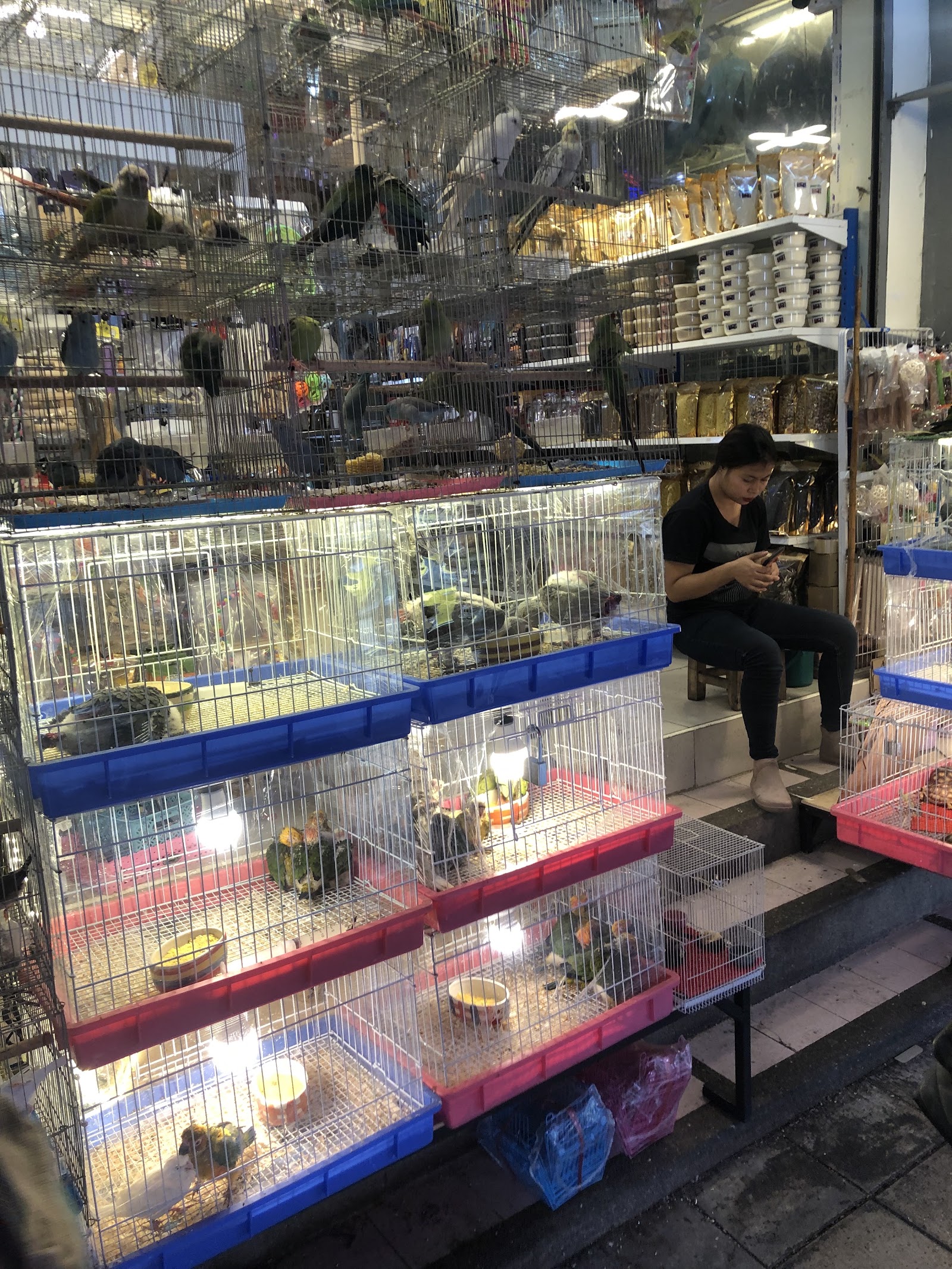 Chatuchak Fish Market