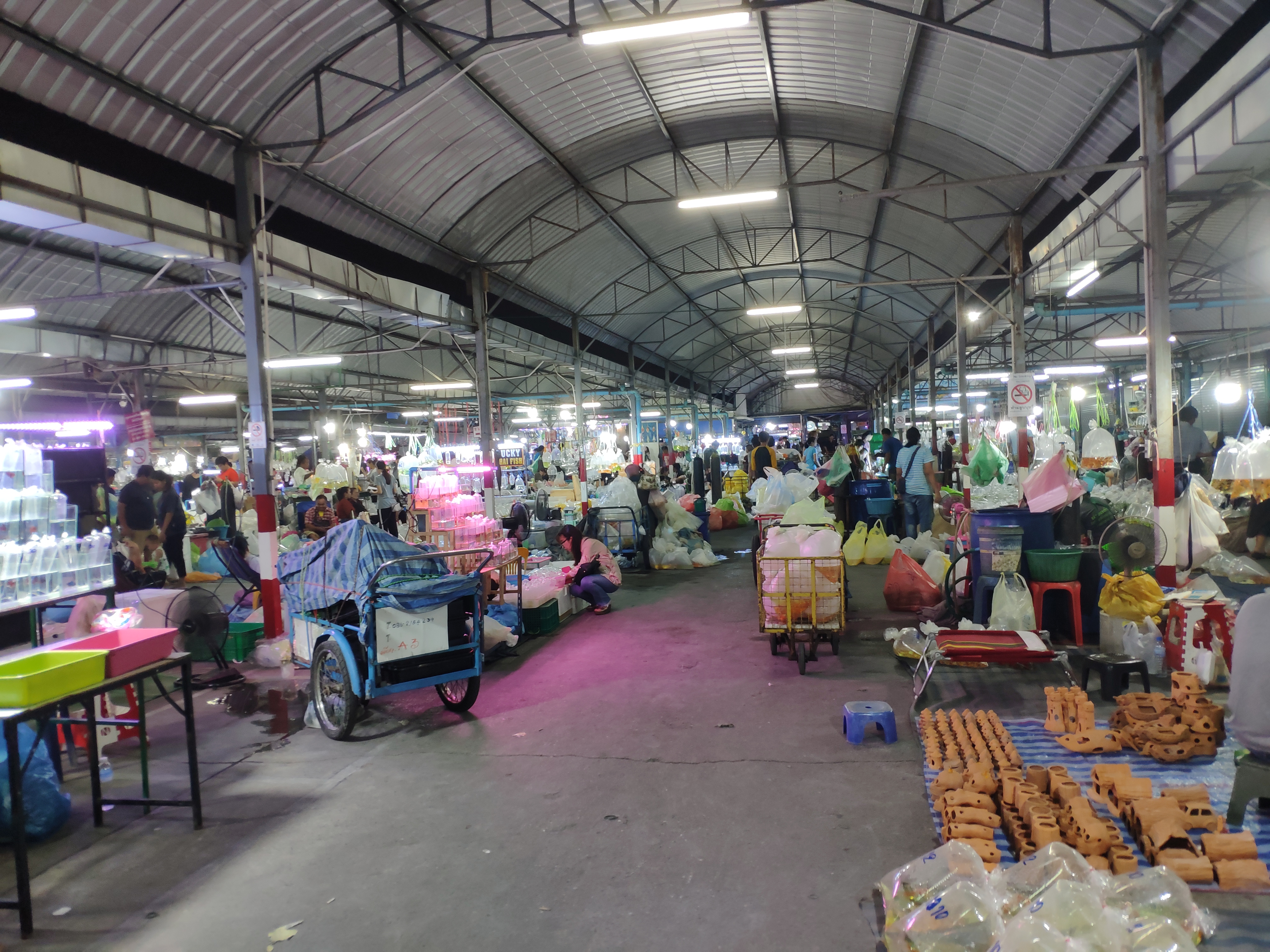 Chatuchak Fish Market