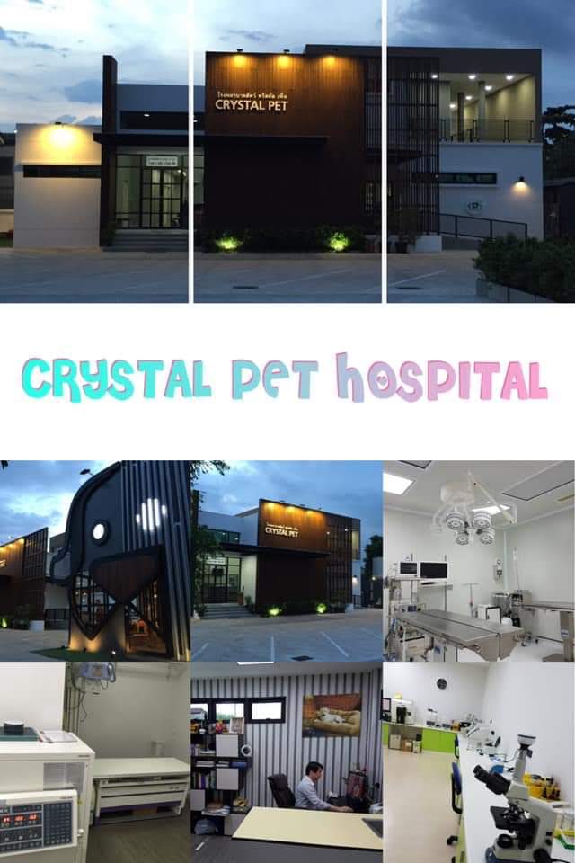 Crystal CT Scan Center
