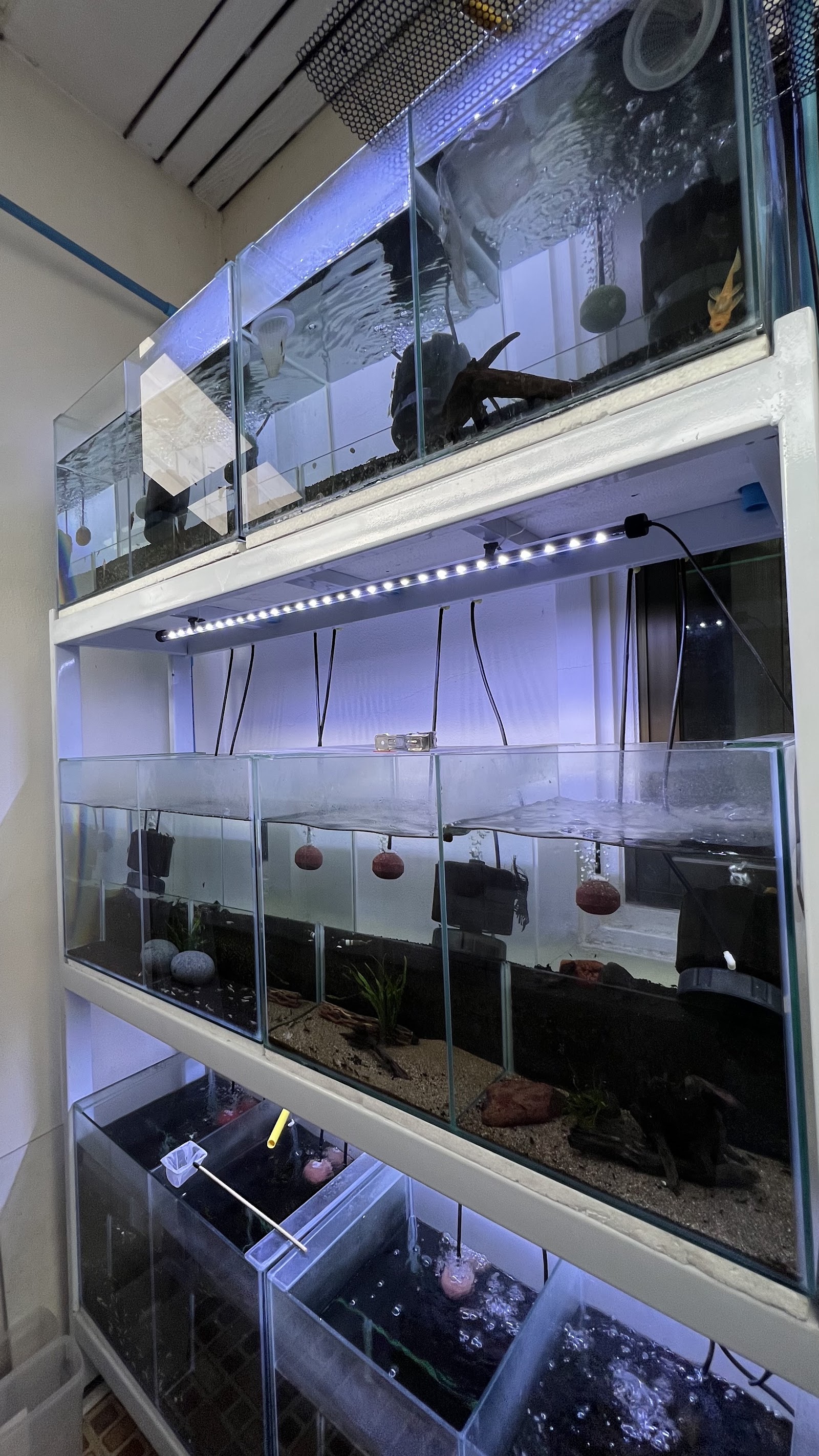 Cube Aquarium