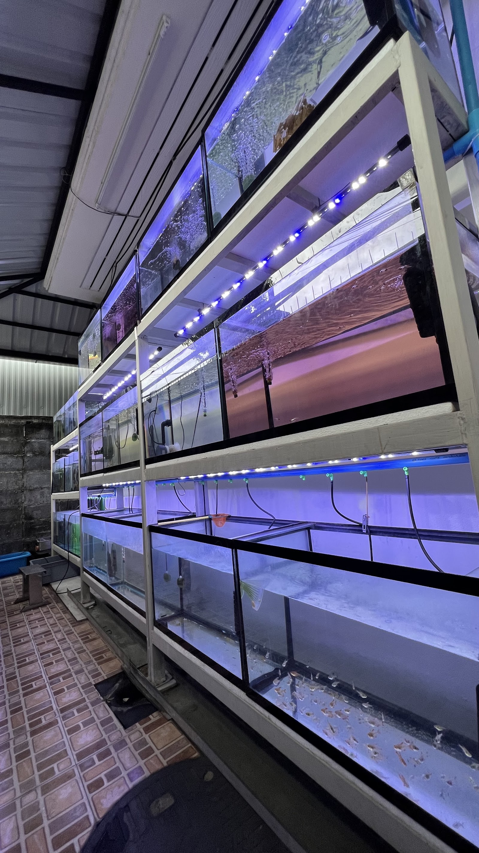 Cube Aquarium