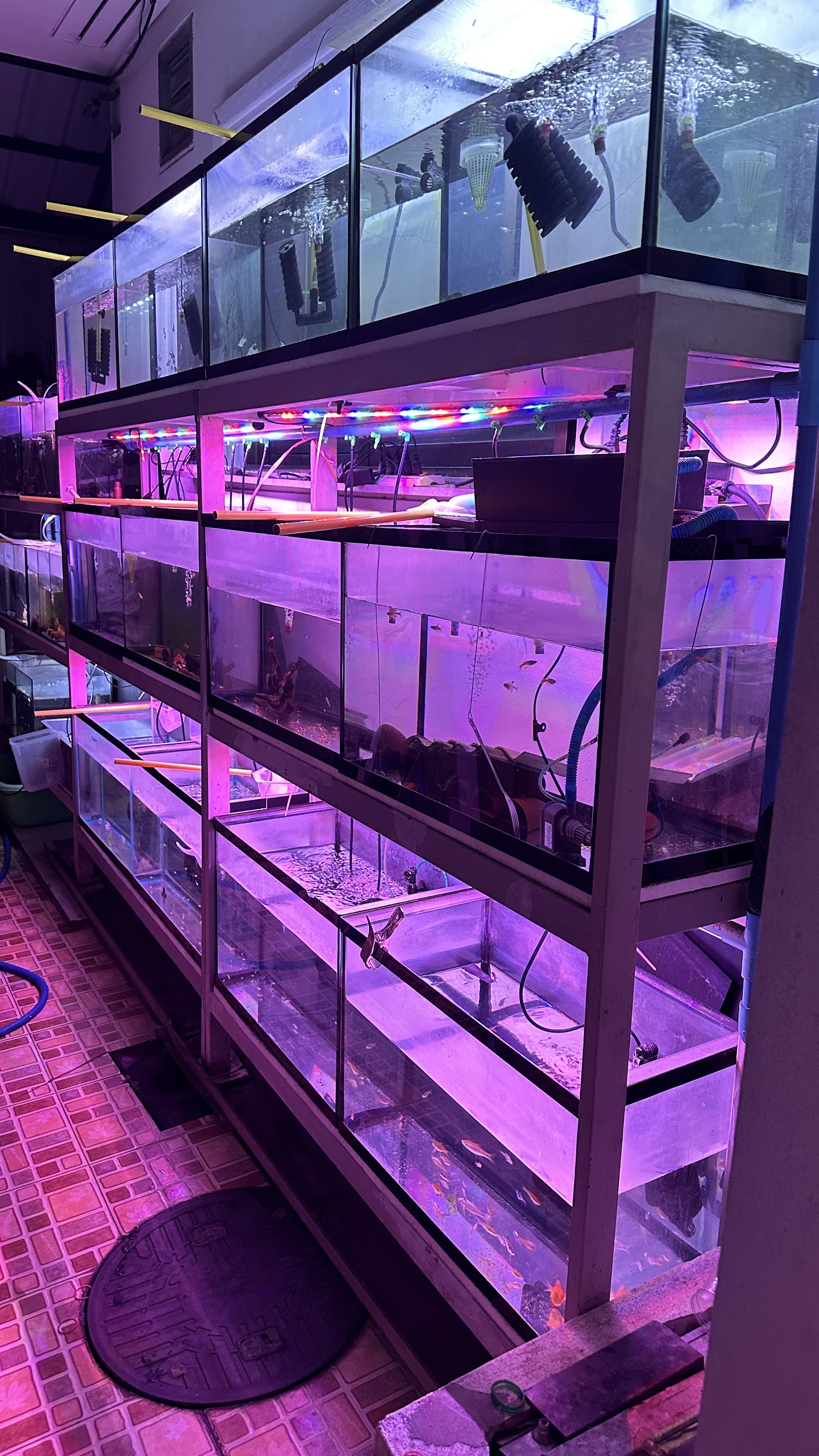 Cube Aquarium