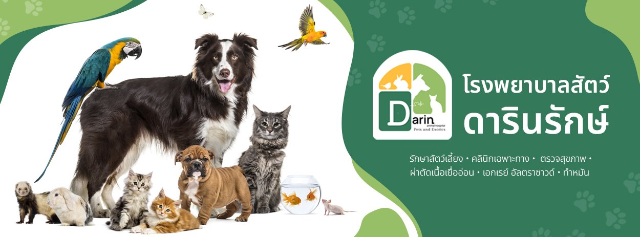 Darin Animal Hospital