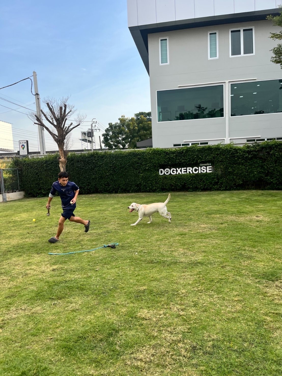 Dogxercise
