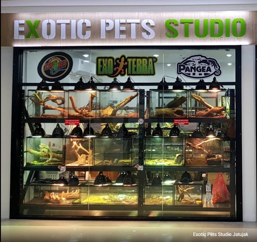 Exotic Pets Studio Jatujak