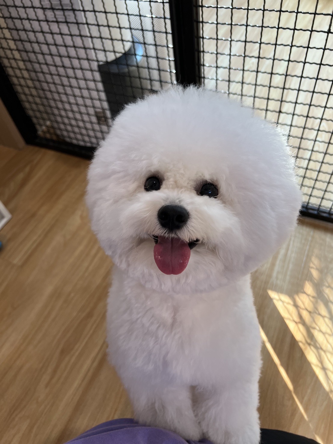 Fluffy Station