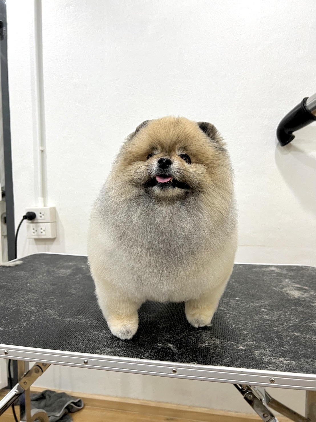 Fluffy Station