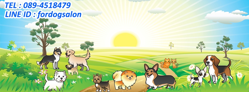 For Dog salon
