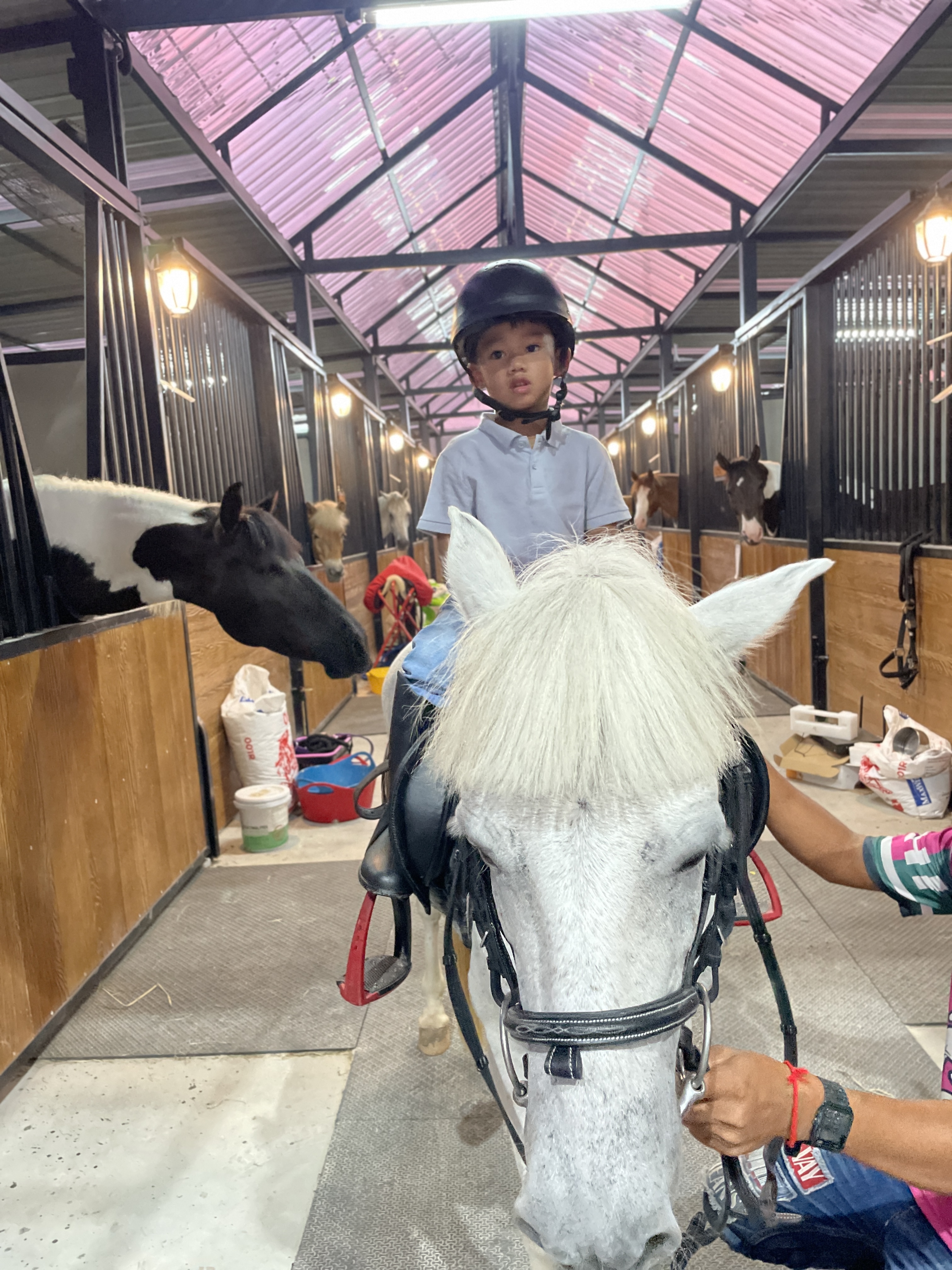 Horse Haven Club