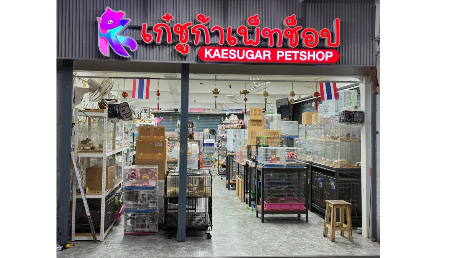 Kaesugar Petshop