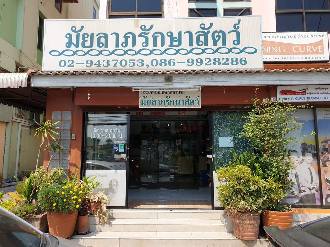 Maiyalarp Animal Clinic