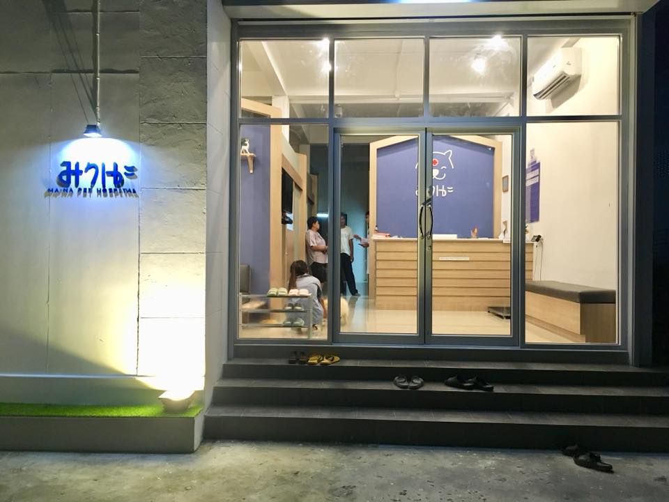 MANA pet hospital