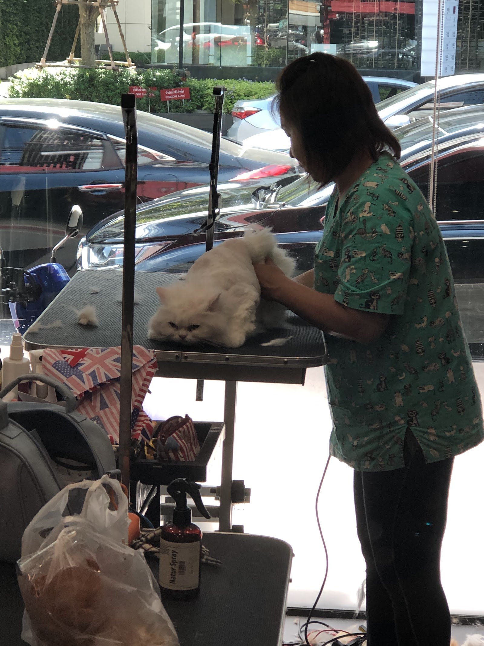 Pet Grooming