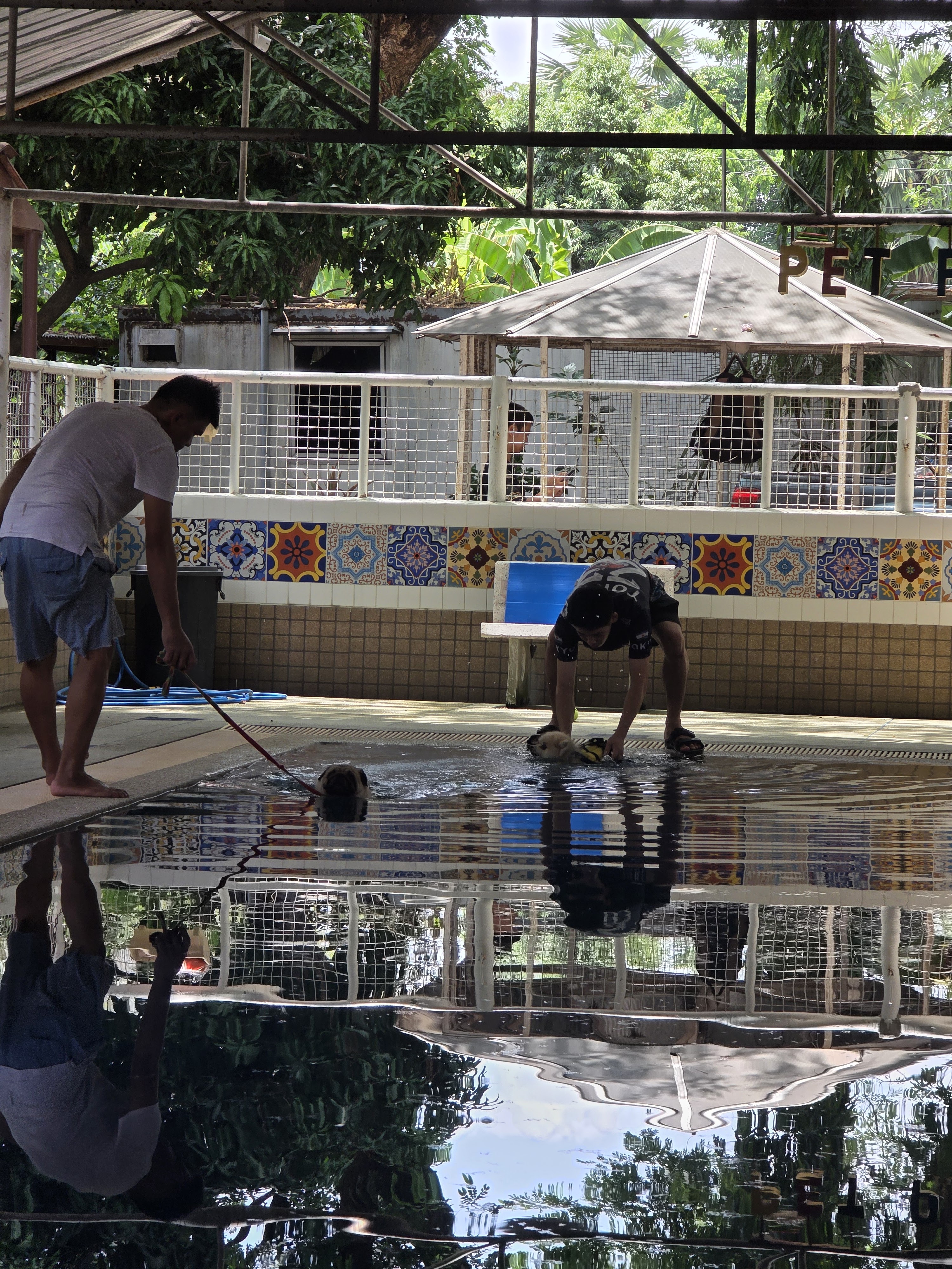 Pet Paradise Park
