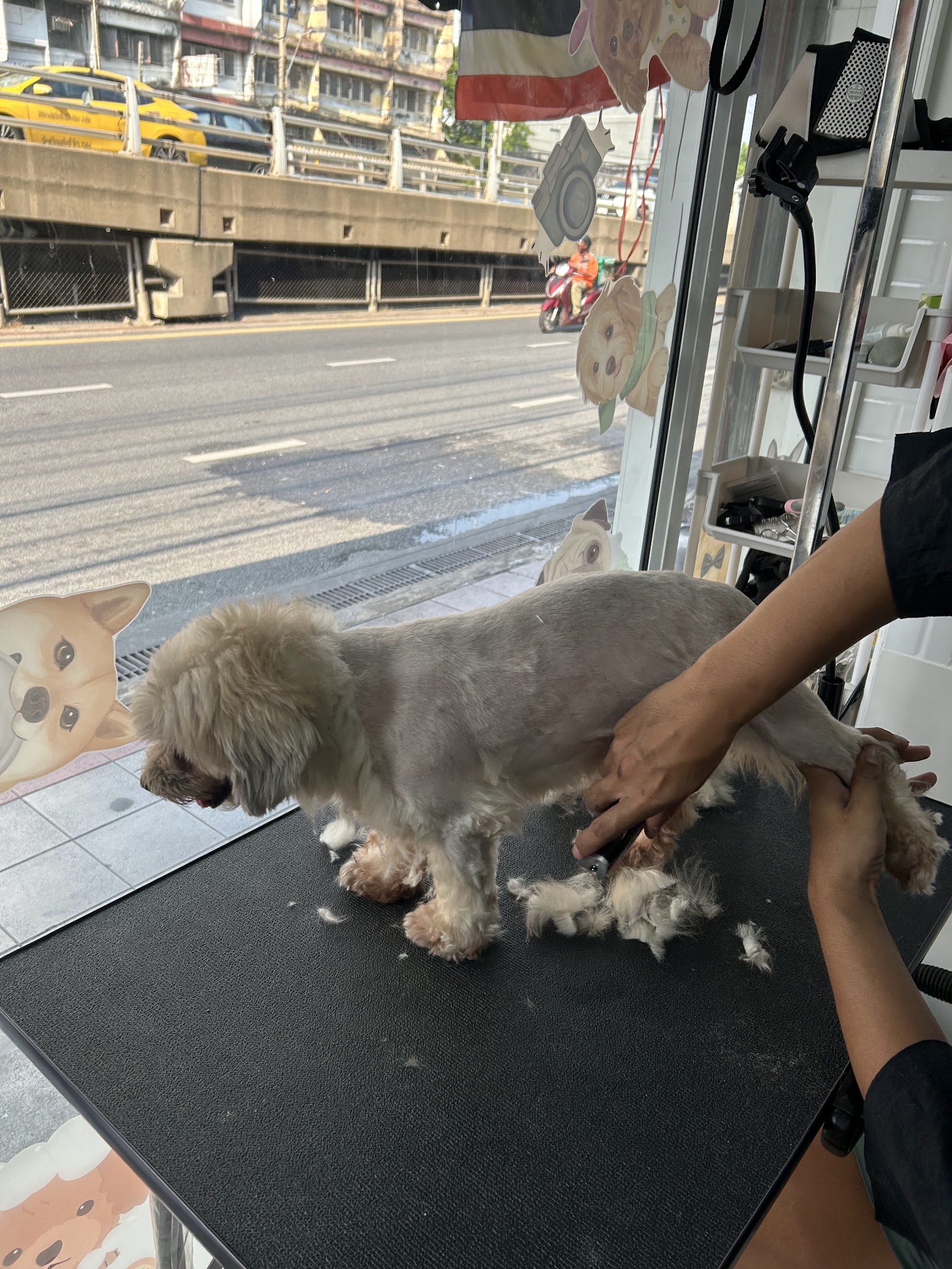 Petch Grooming&spa