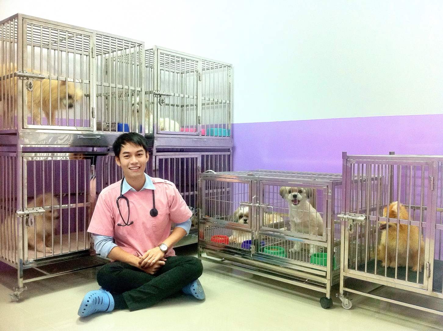 PiyaVet Animal Hospital