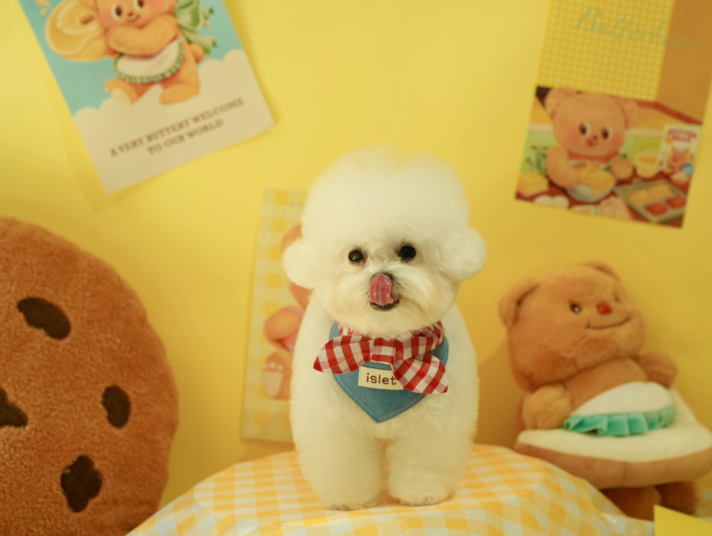 PuppyCandy Pet Shop & Salon