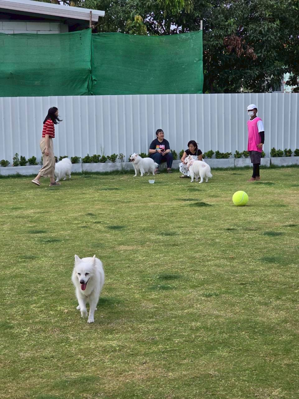 Rainbow Ville