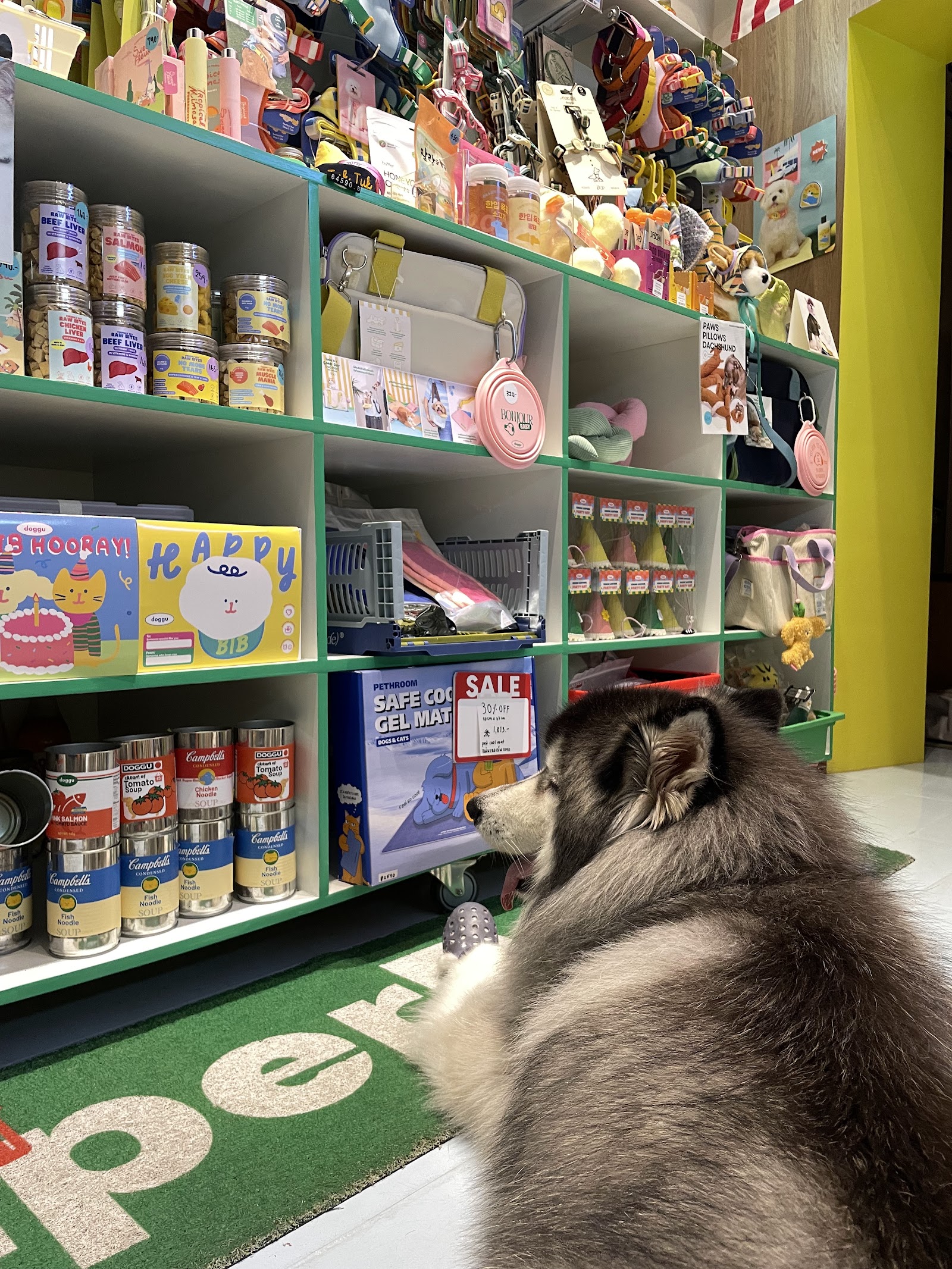 Superbarket store by doggu pets