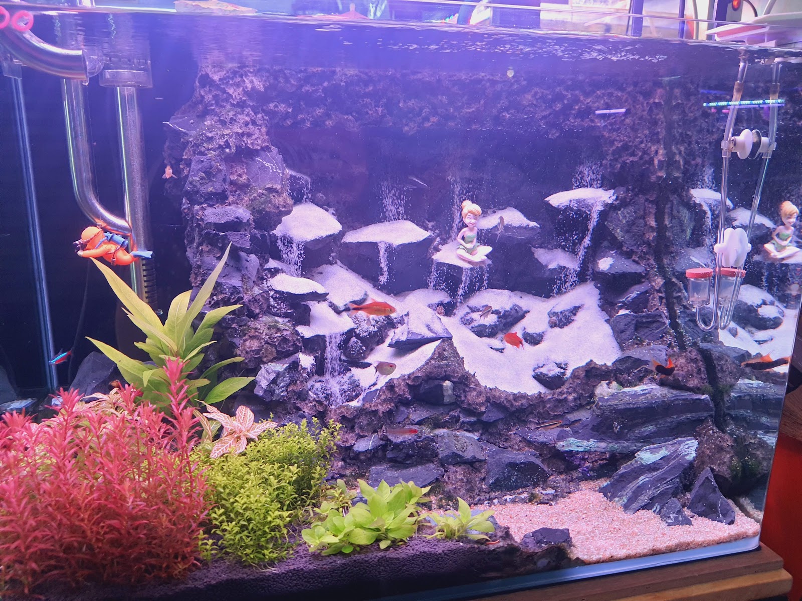 Thai Aquarium Centre