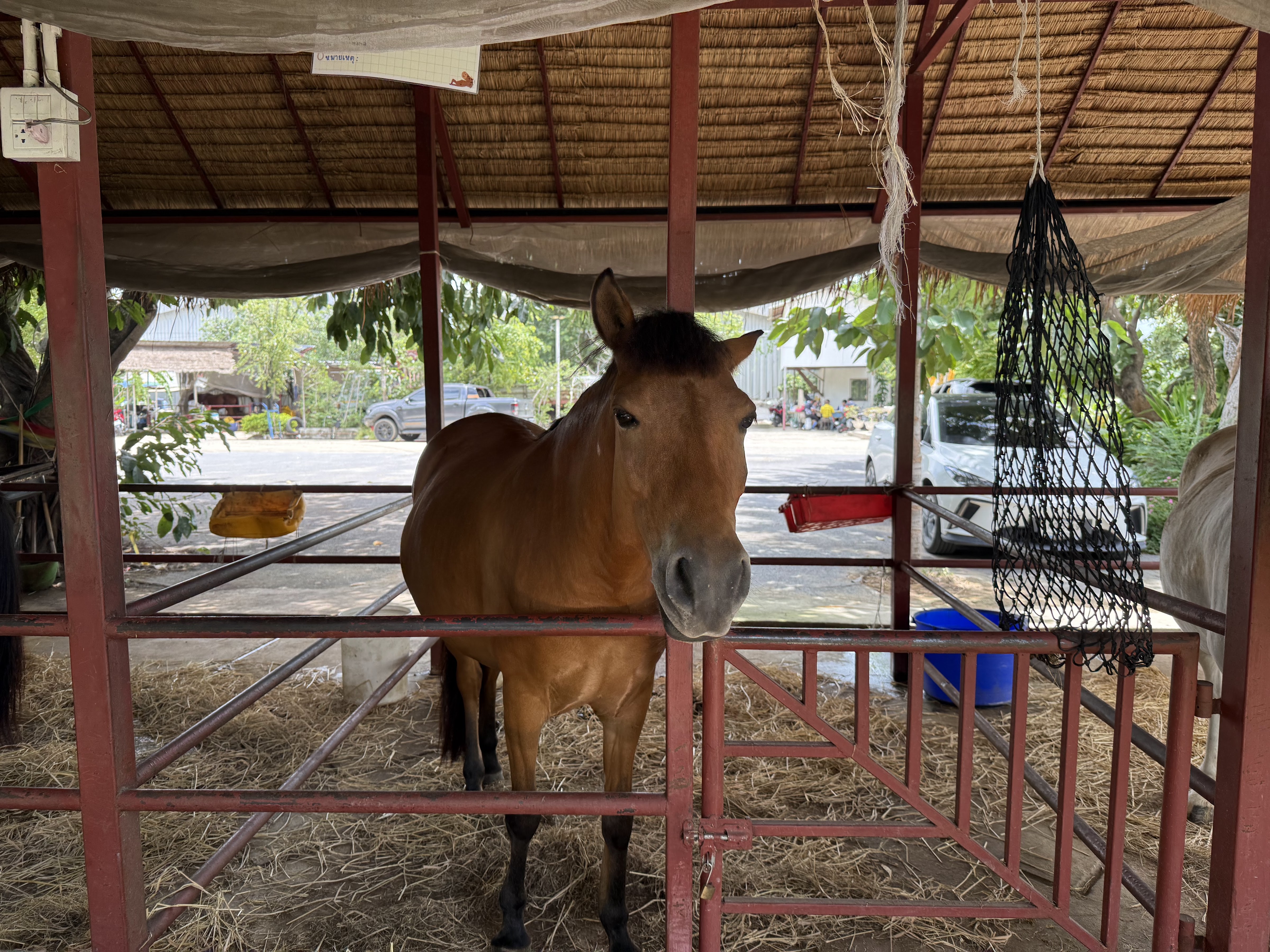 The Hay - Equestrian Center & Eatery