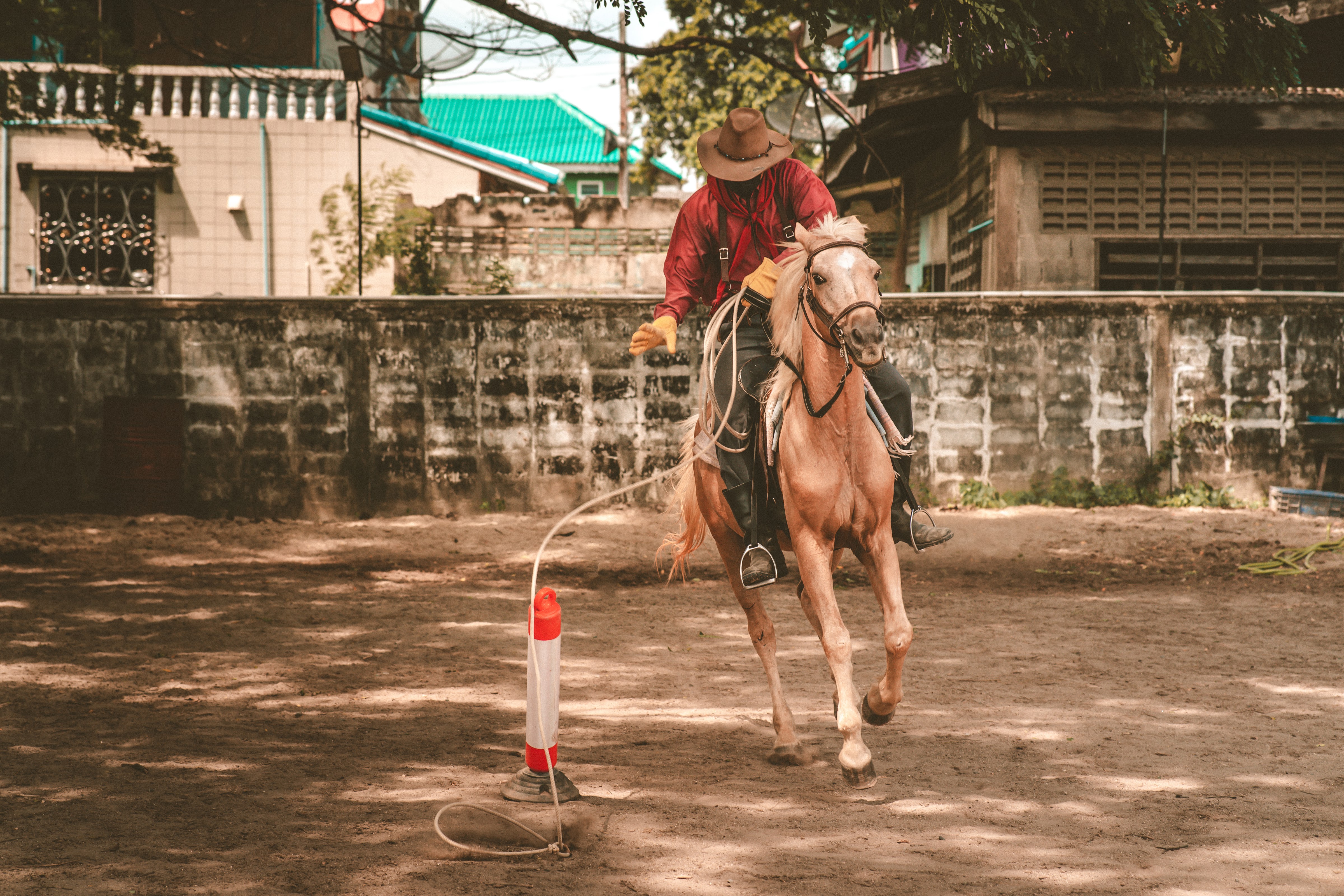 The Stallion Horse Riding Thailand