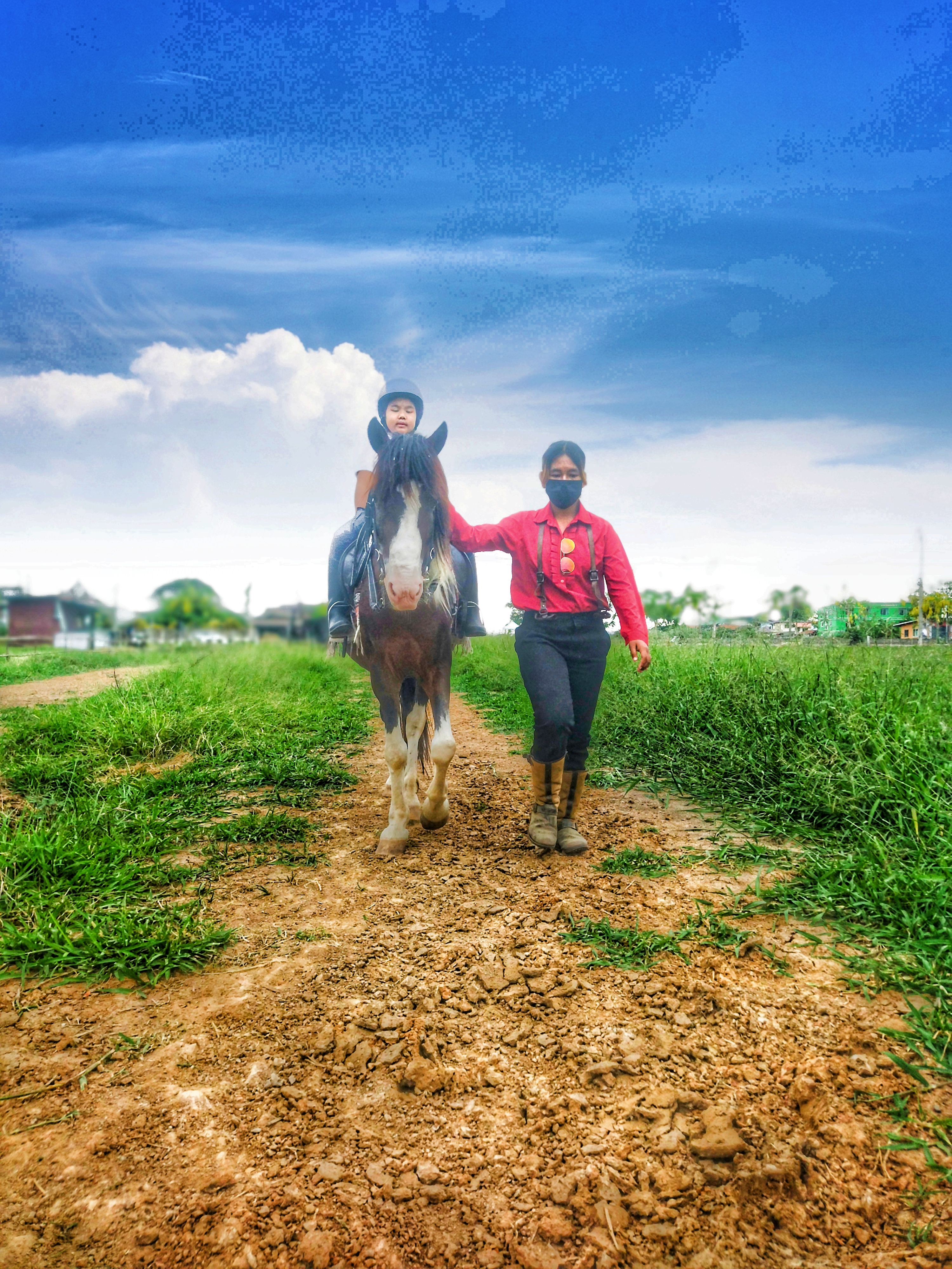 The Stallion Horse Riding Thailand
