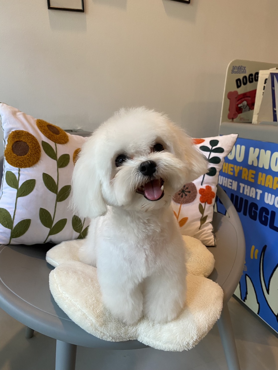 Tonson Grooming & Boarding