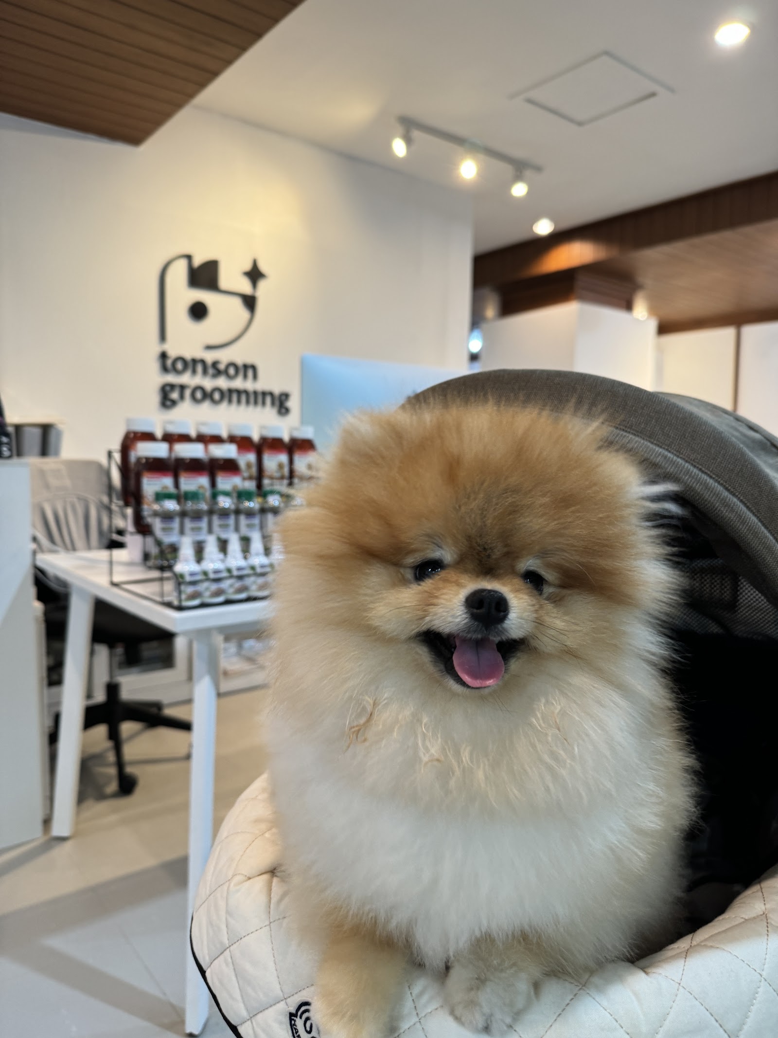 Tonson Grooming & Boarding