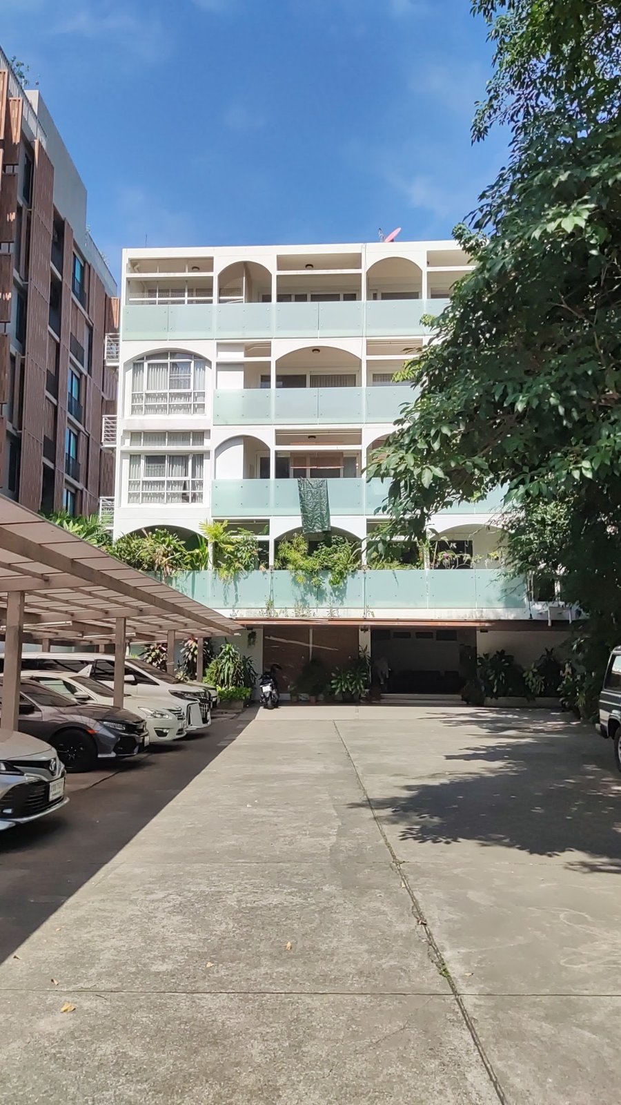 TREE APARTMENT