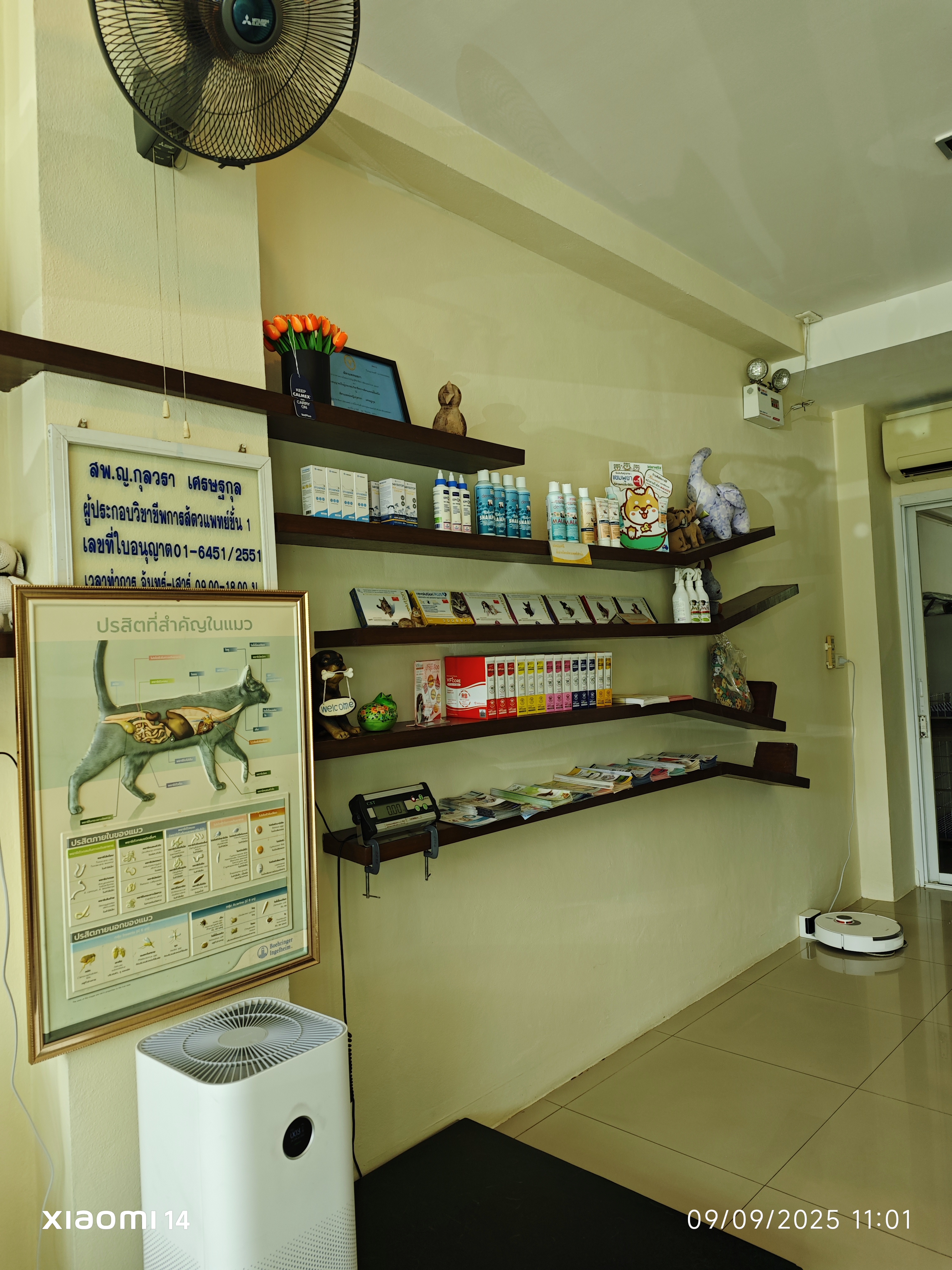 Don Chan Animal Treatment Clinic