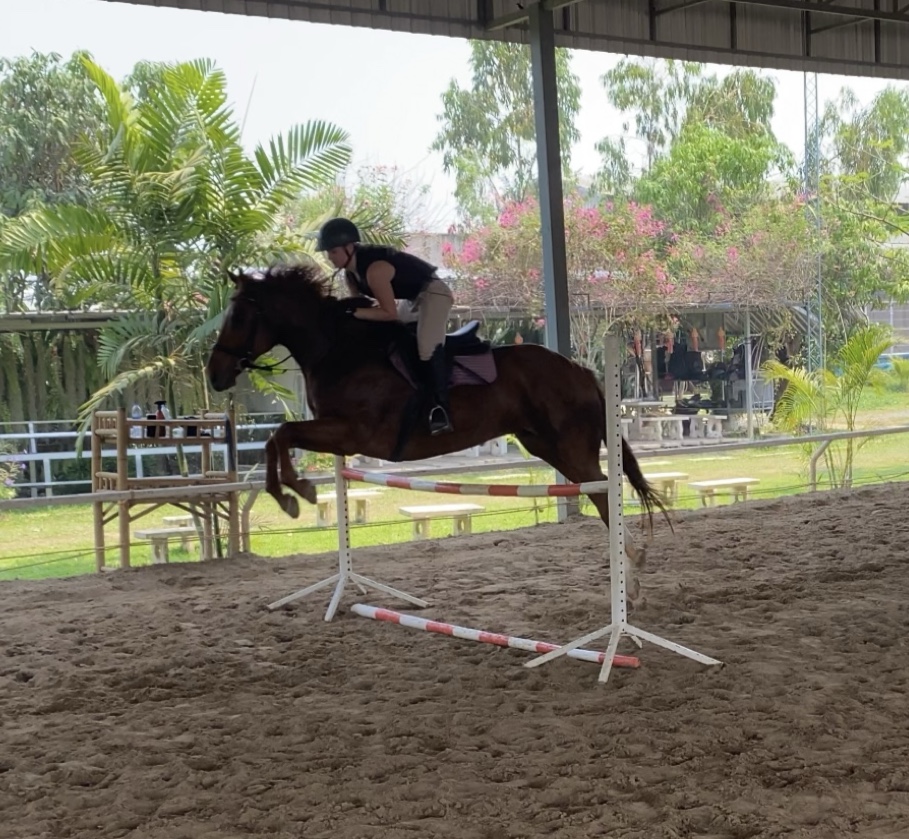 Equestrian Education Center Chiang Mai
