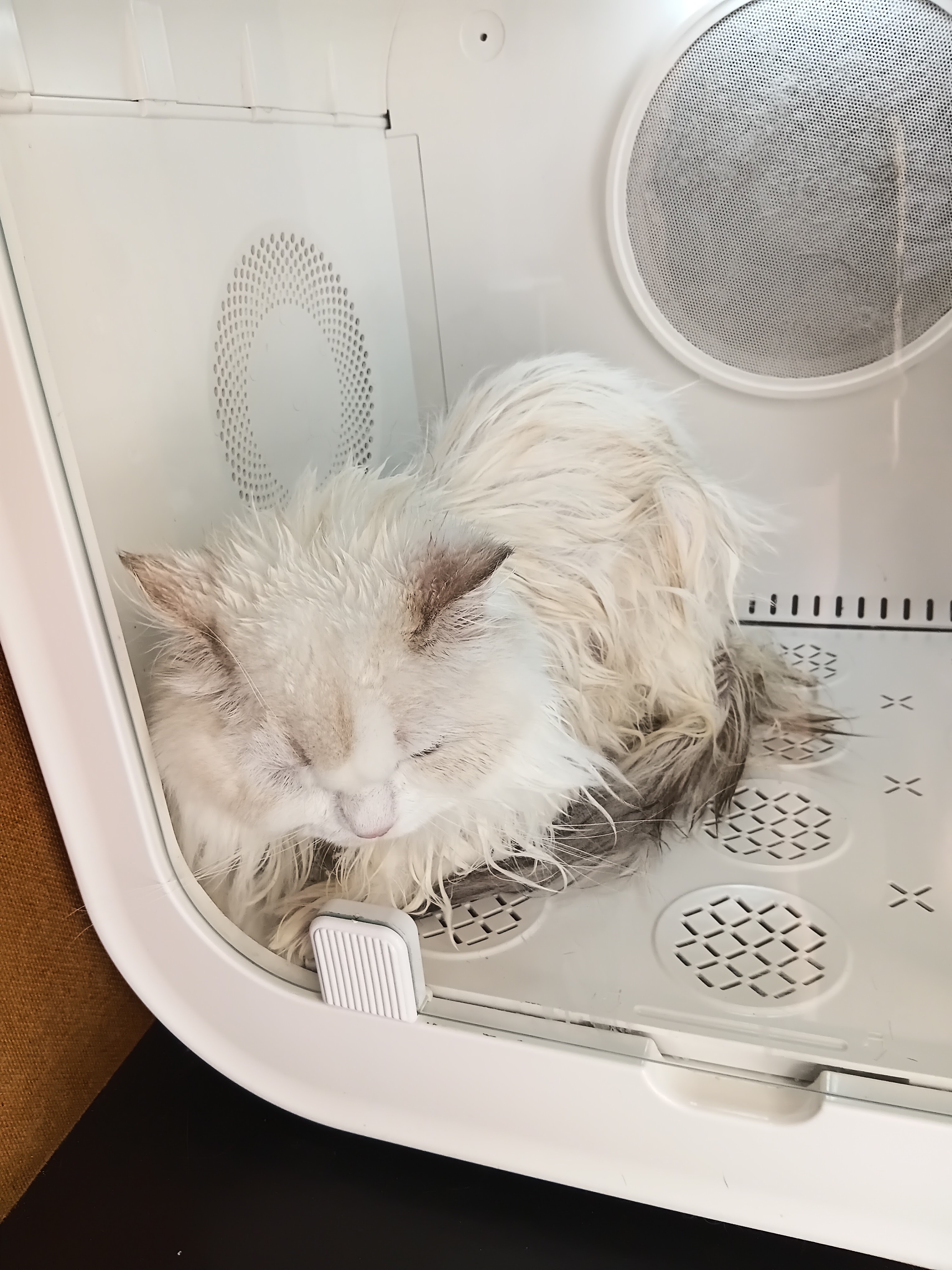 Fluffy Fur, Bathing and Trimming Pets