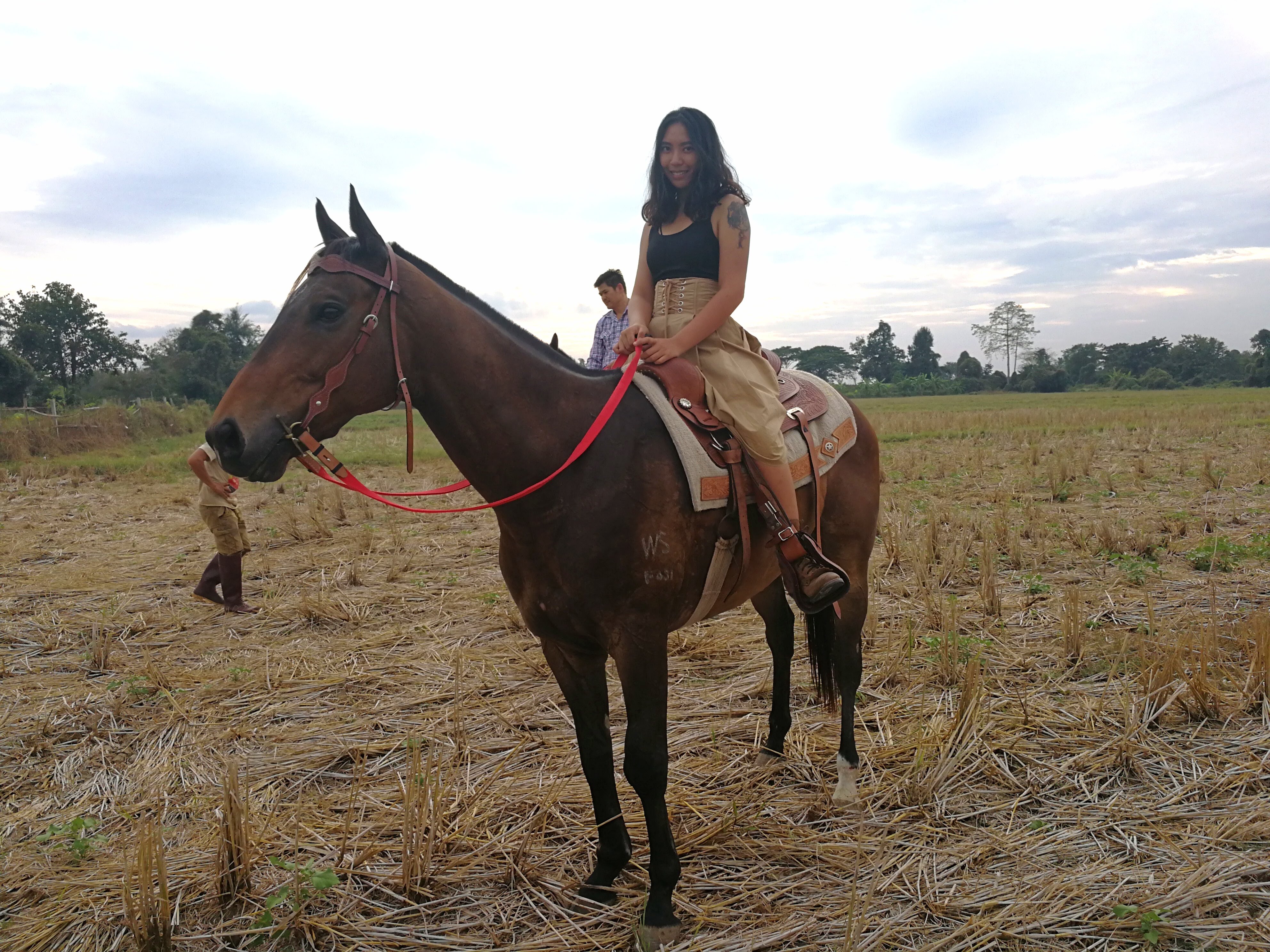 Fresh Start Barn & Equestrian Centre
