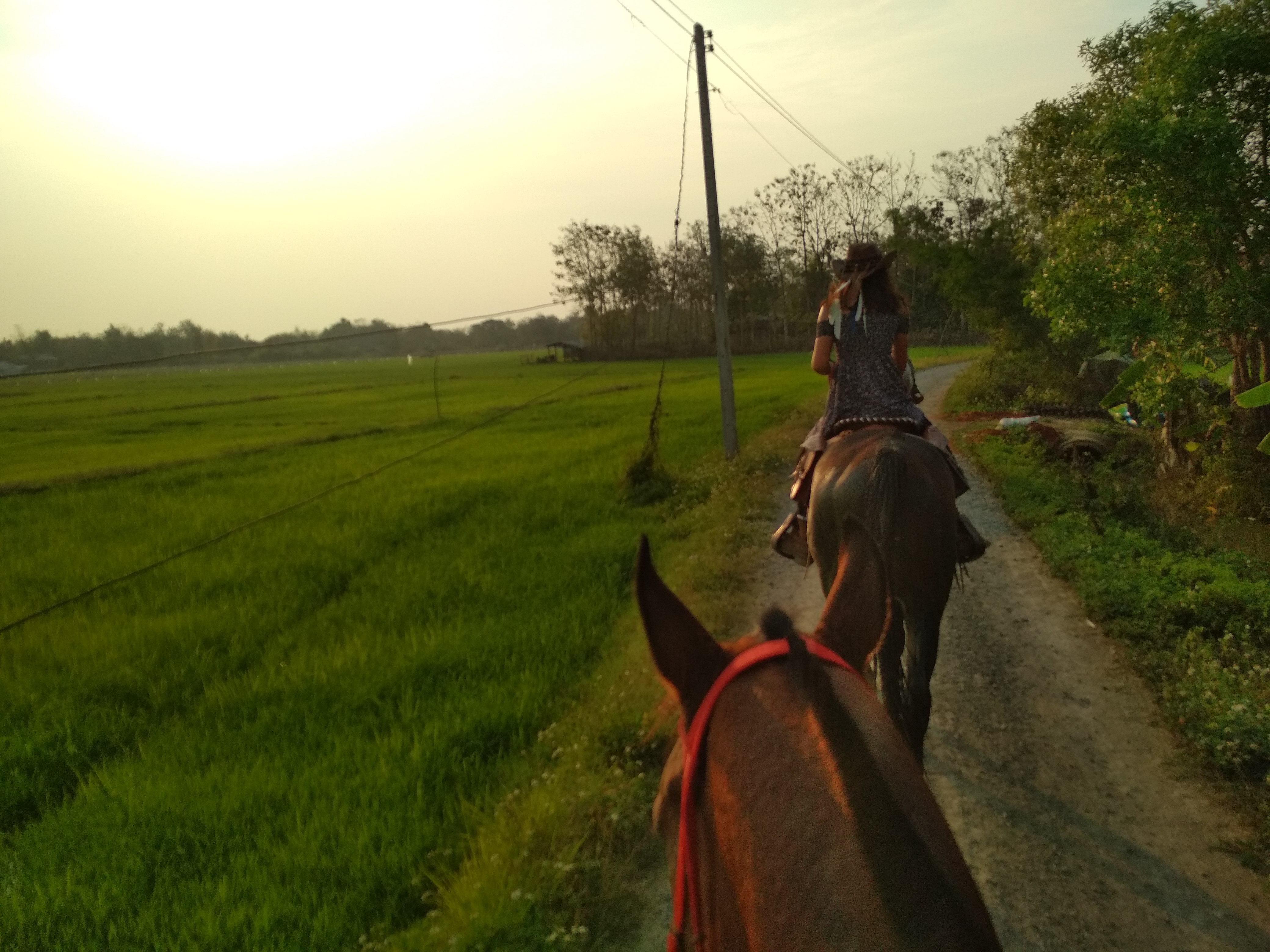 Fresh Start Barn & Equestrian Centre