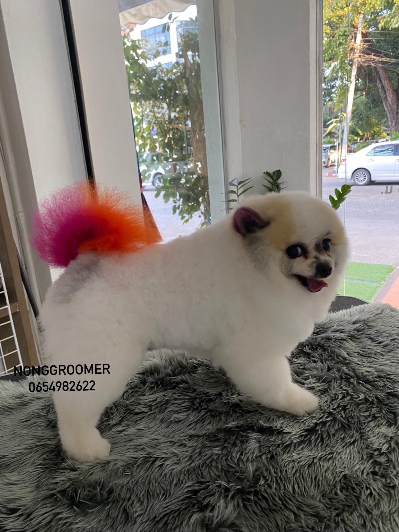 Groomer
