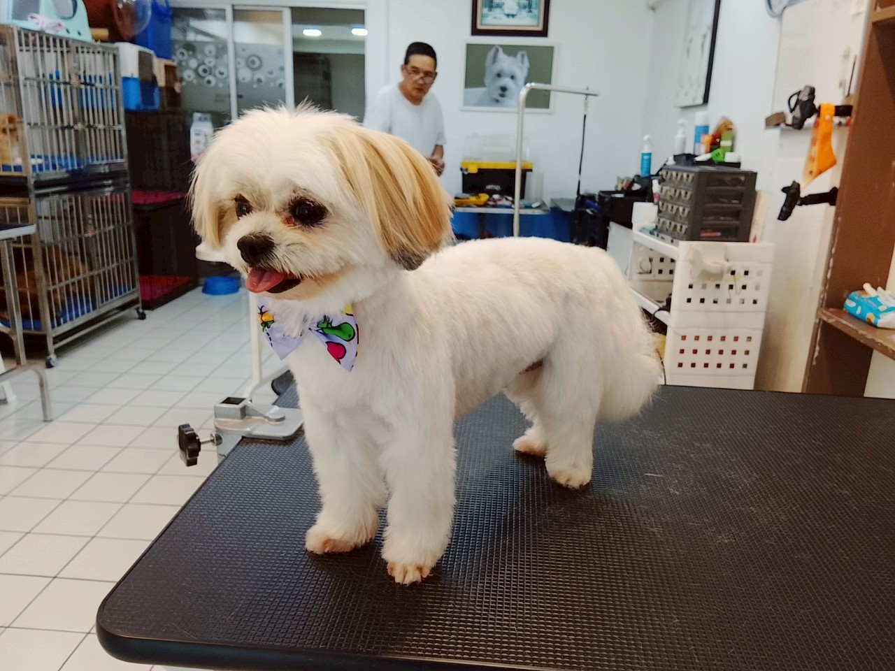 Grooming