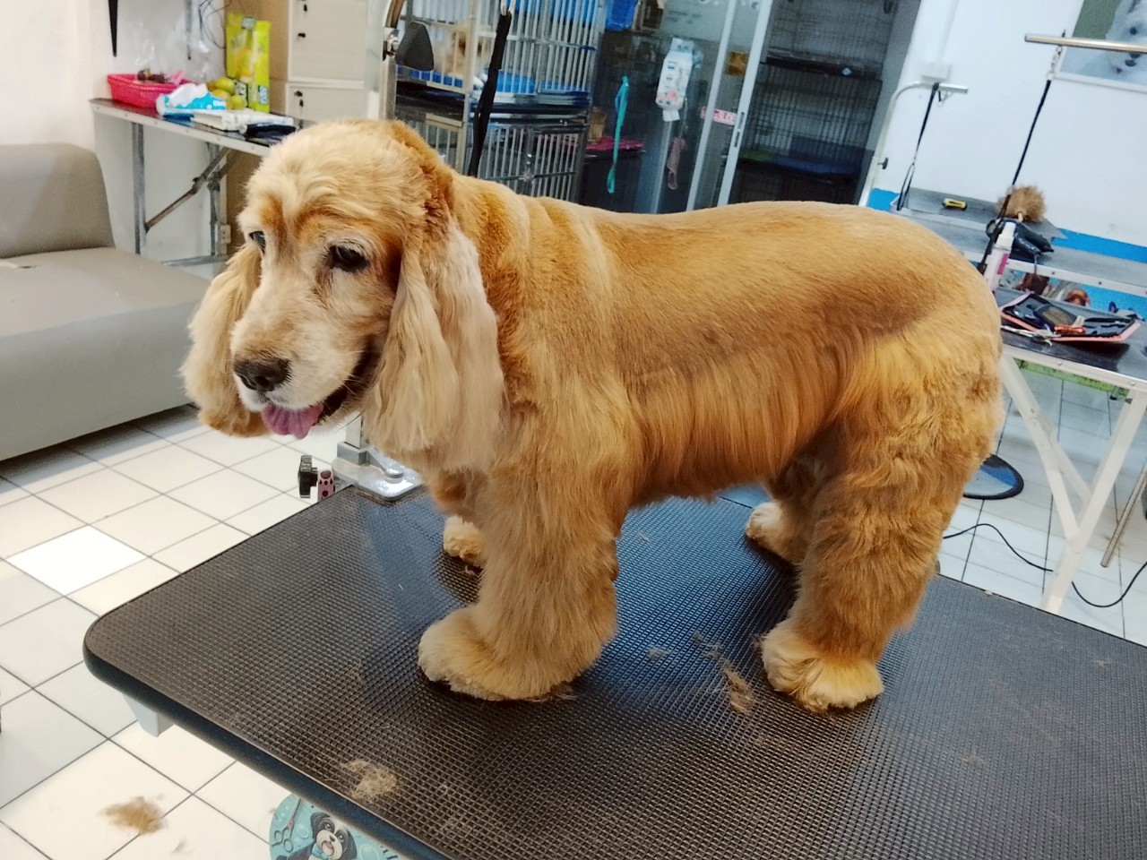 Grooming