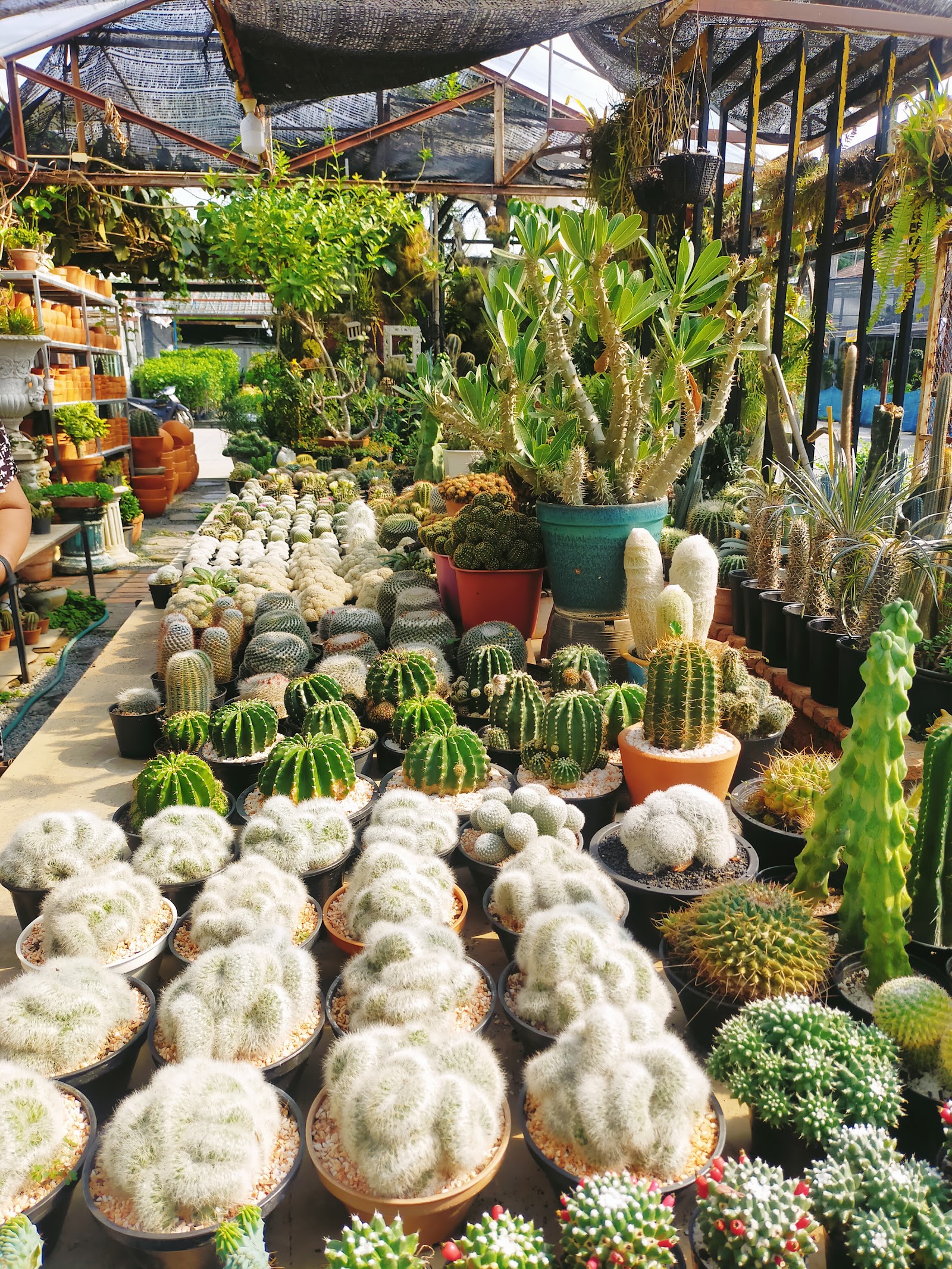 Kamthieng Market