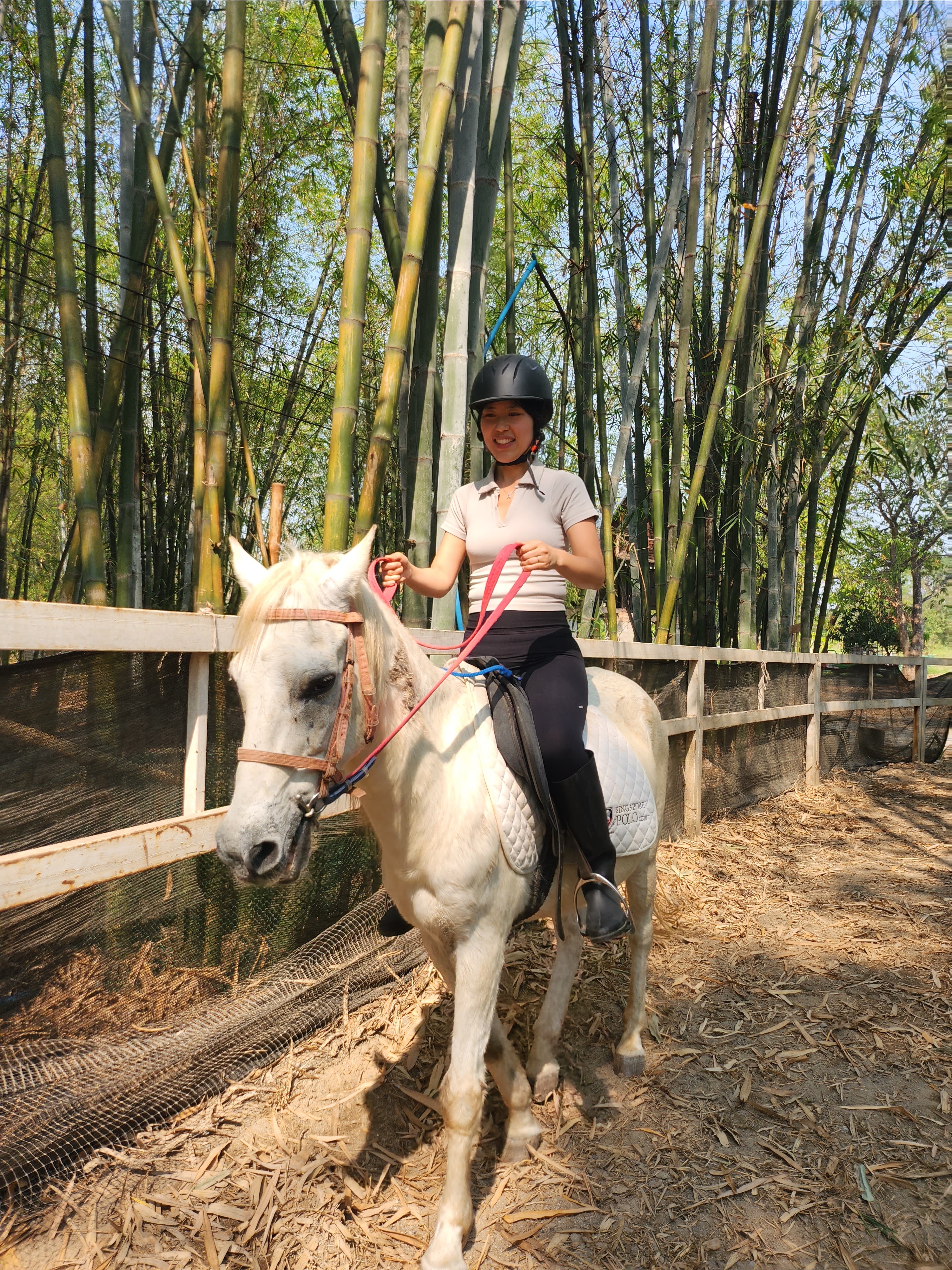 Montana Horse riding school