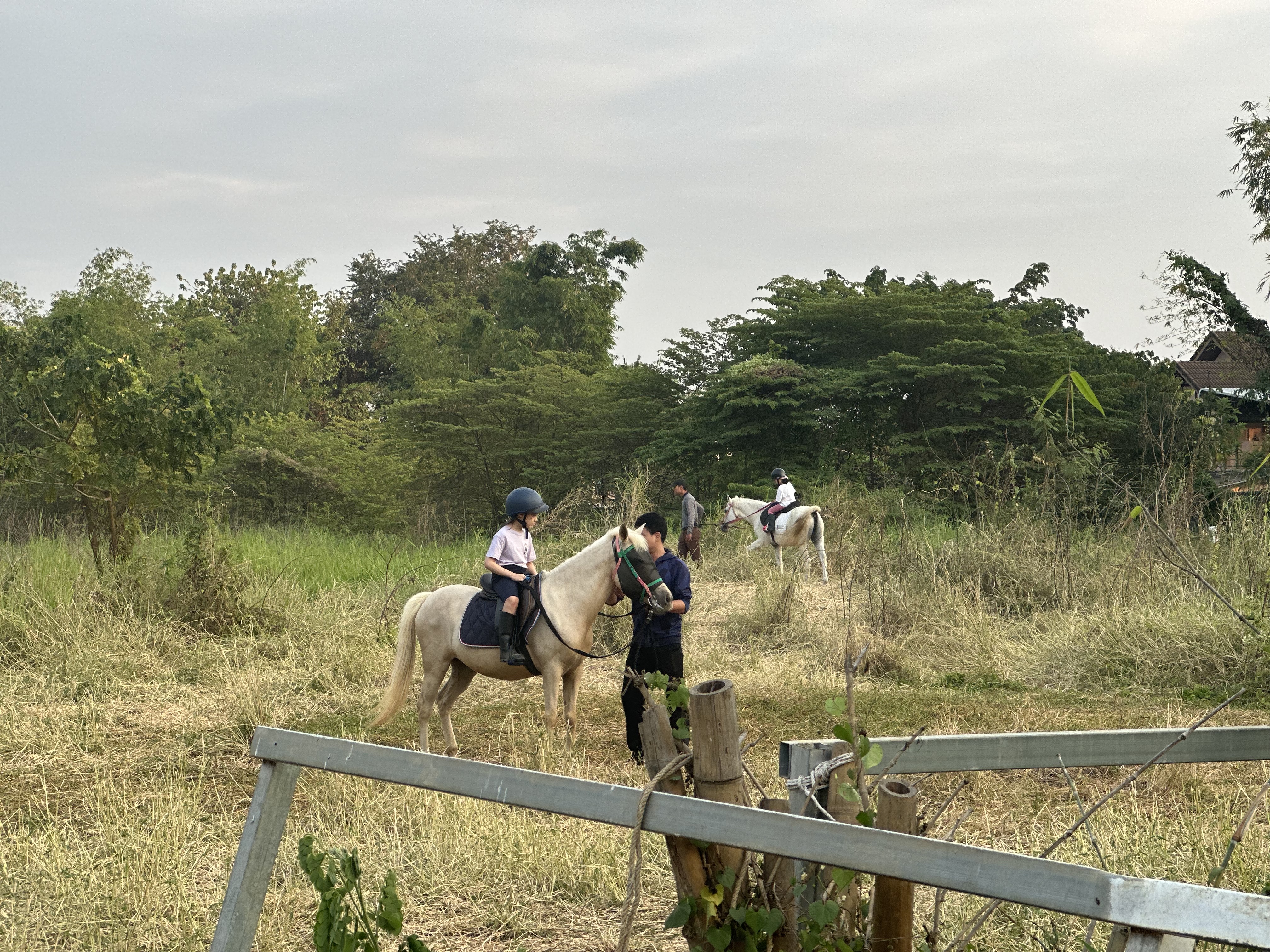 Montana Horse riding school