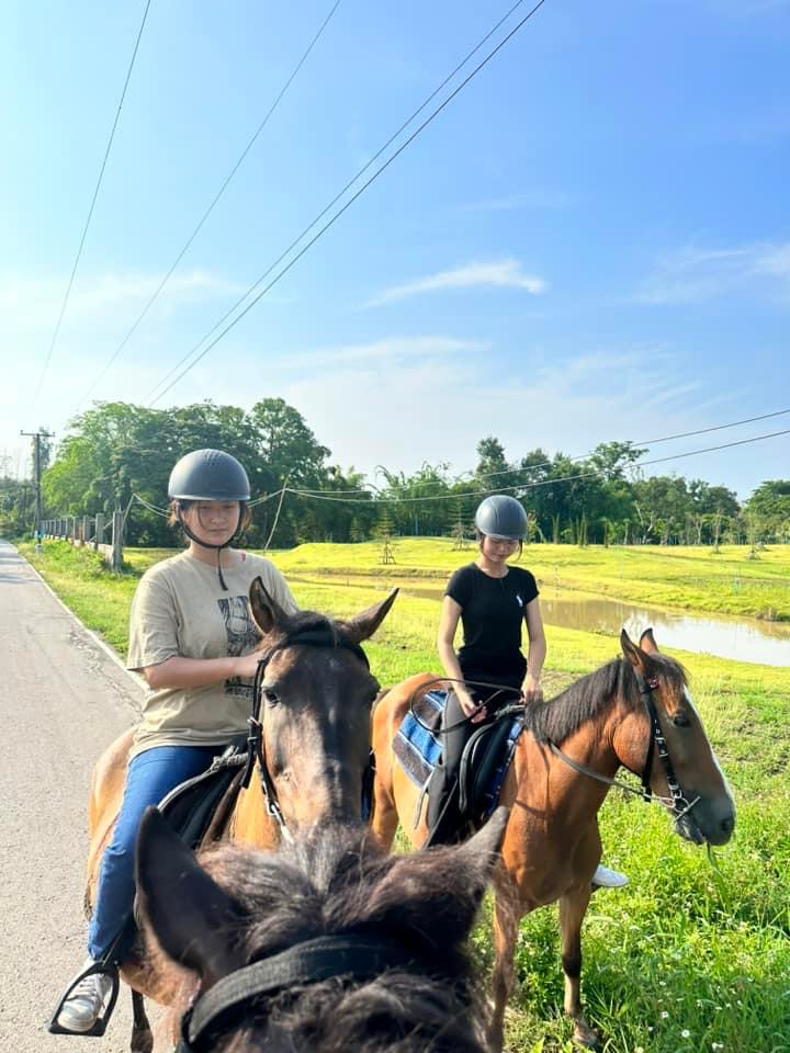 On Horse Farm Chiang Mai